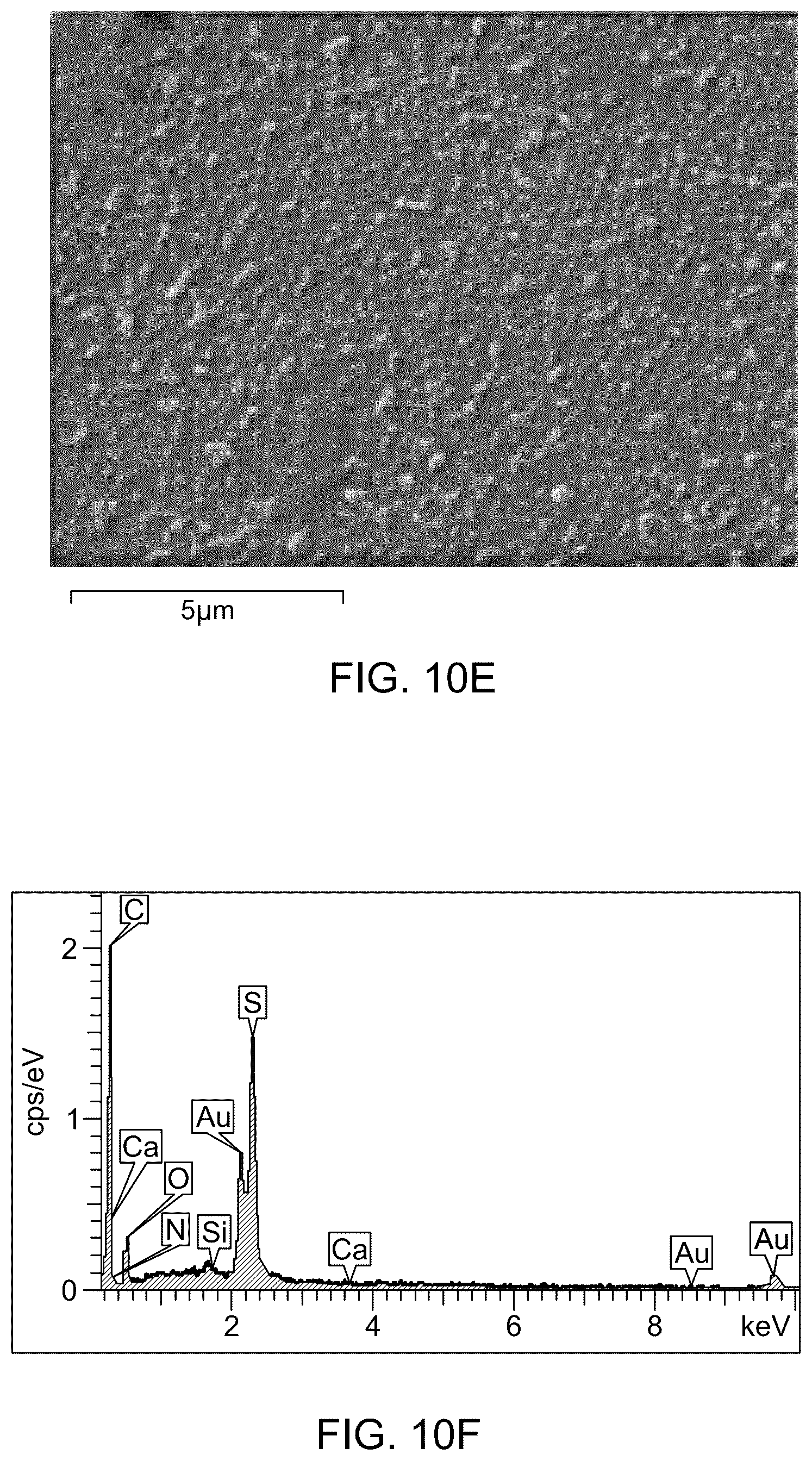Patent US12496554 Figure 17 – Triamine-functionalized MCM-41-based filtration membrane