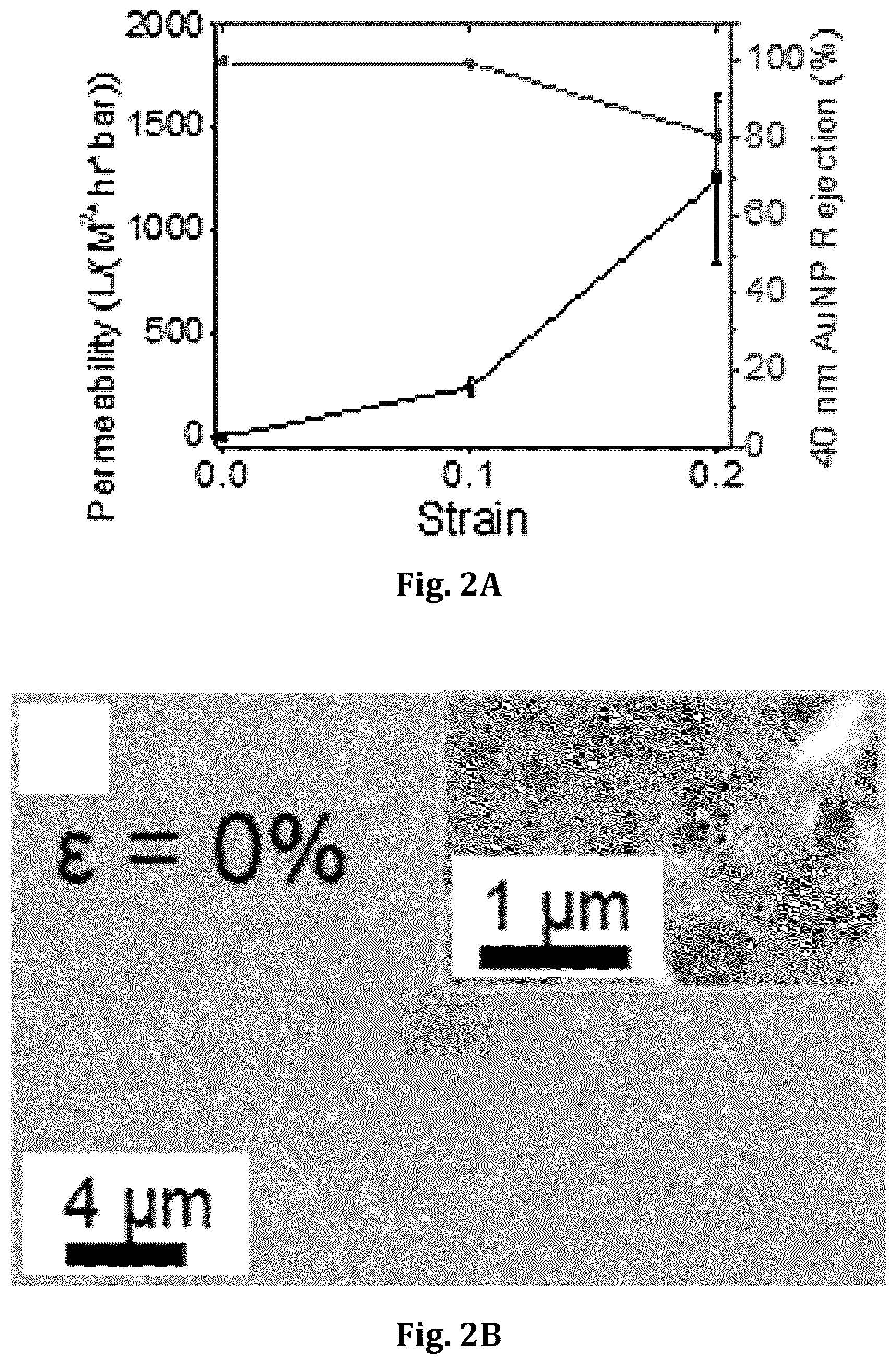 Patent US12496555 Figure 3 – Block copolymer templated crazing for membrane separation