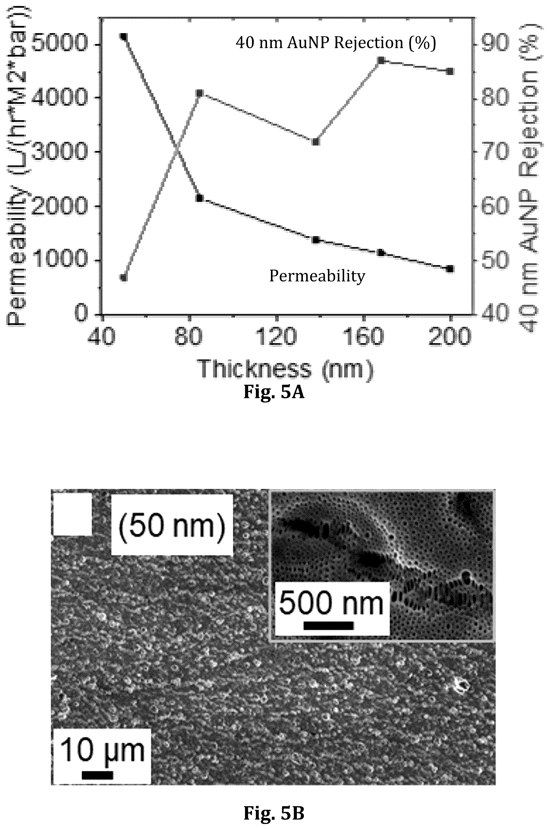 Patent US12496555 Figure 10 – Block copolymer templated crazing for membrane separation