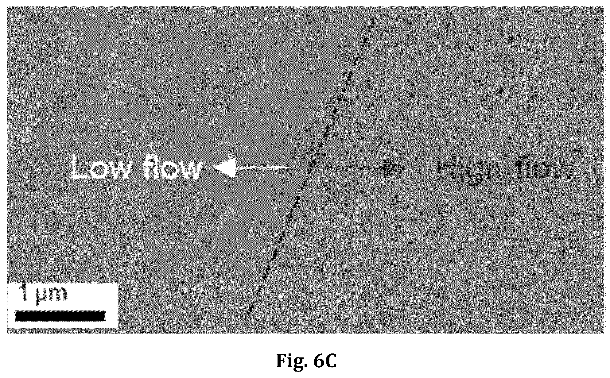 Patent US12496555 Figure 14 – Block copolymer templated crazing for membrane separation