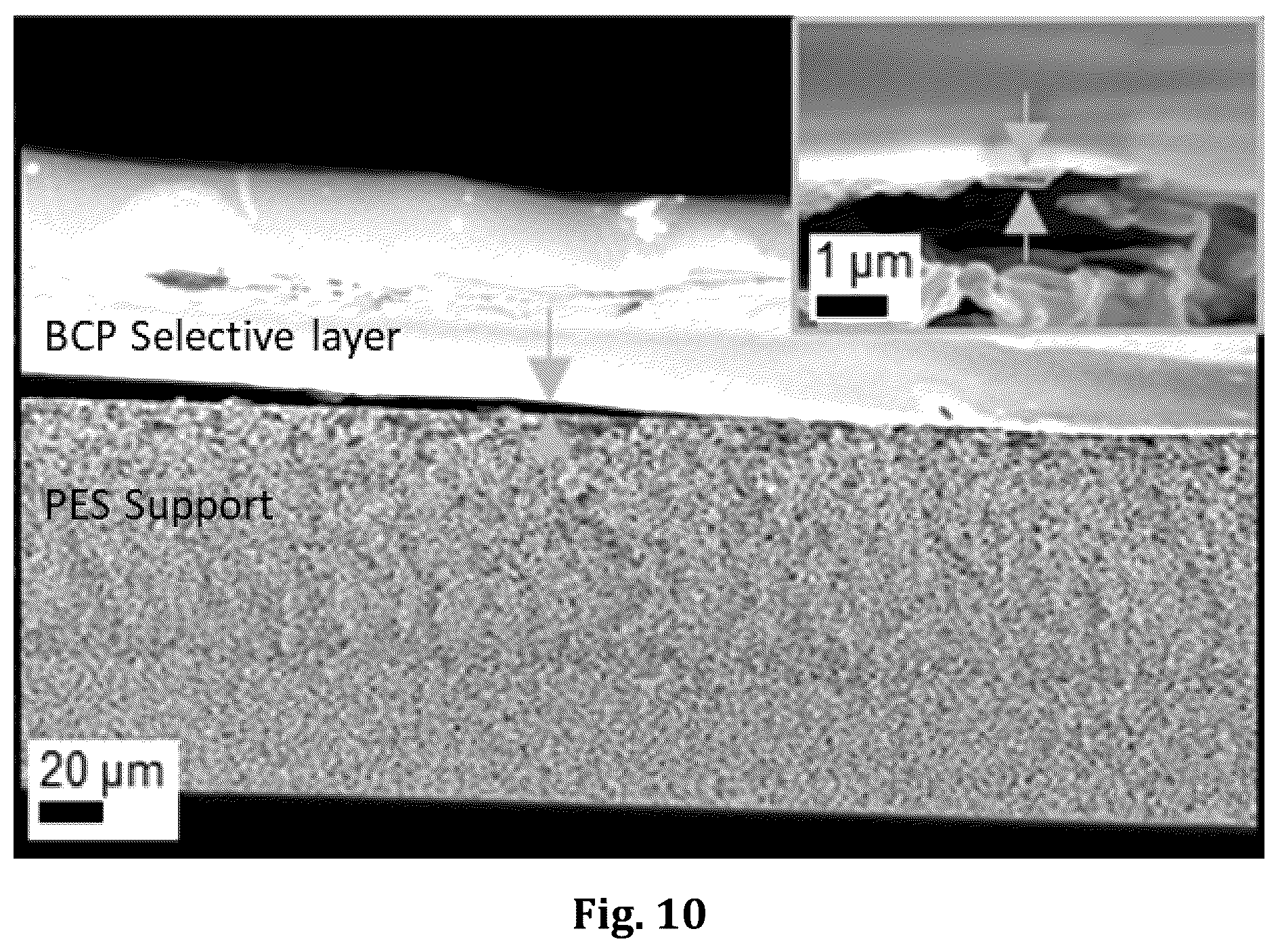 Patent US12496555 Figure 18 – Block copolymer templated crazing for membrane separation