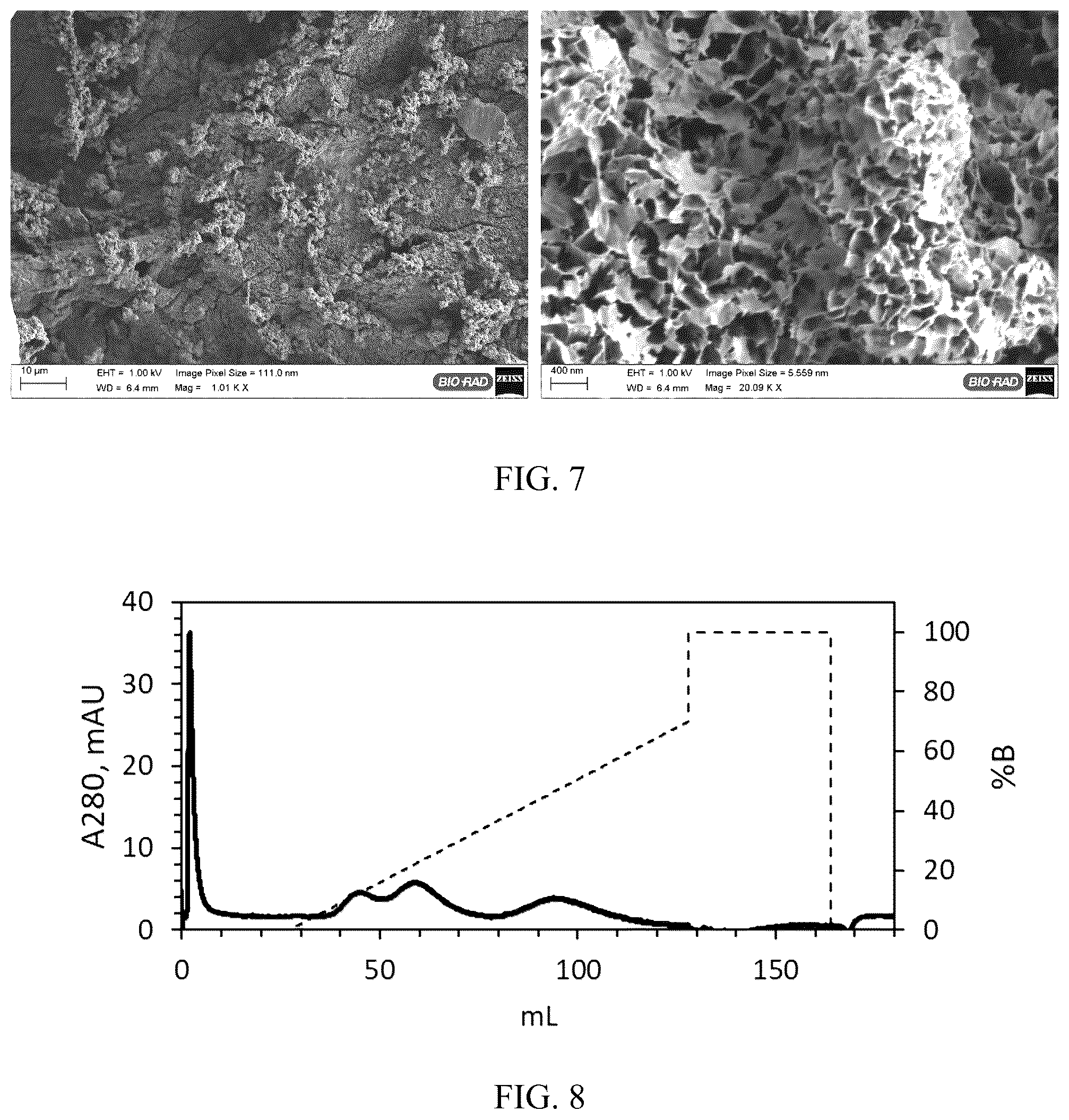 Patent US12496567 Figure 3 – Polymer-hydroxyapatite composite membranes