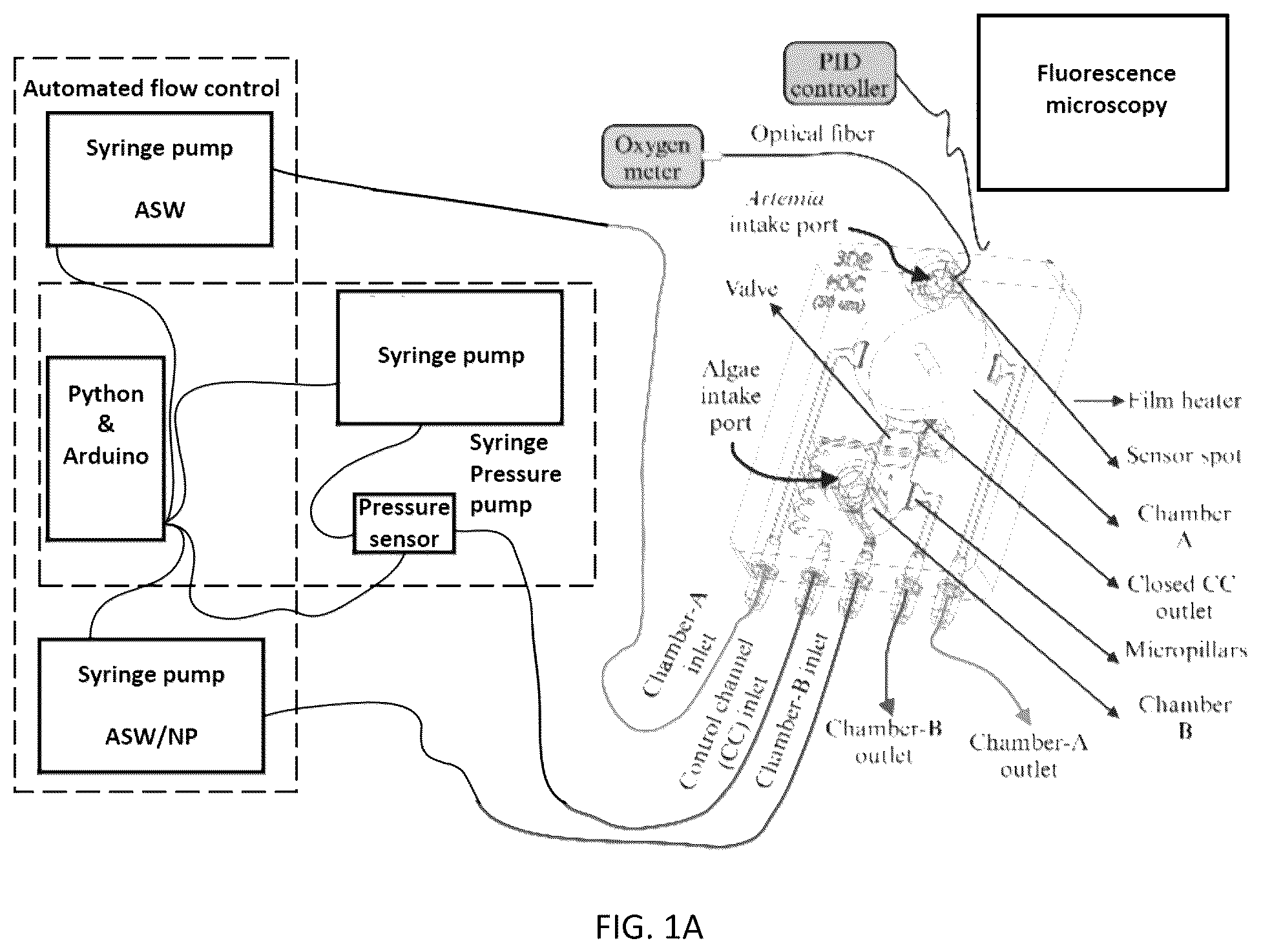 Patent US12496581 Figure 1 – Systems and methods for in vivo nanotoxicity testing