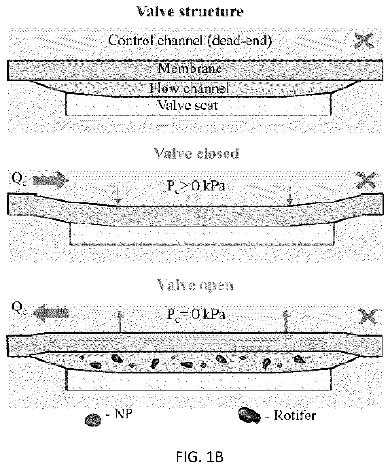 Patent US12496581 Figure 2 – Systems and methods for in vivo nanotoxicity testing