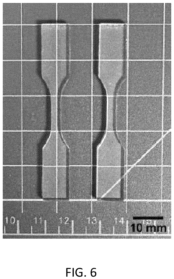 Patent US12496581 Figure 11 – Systems and methods for in vivo nanotoxicity testing