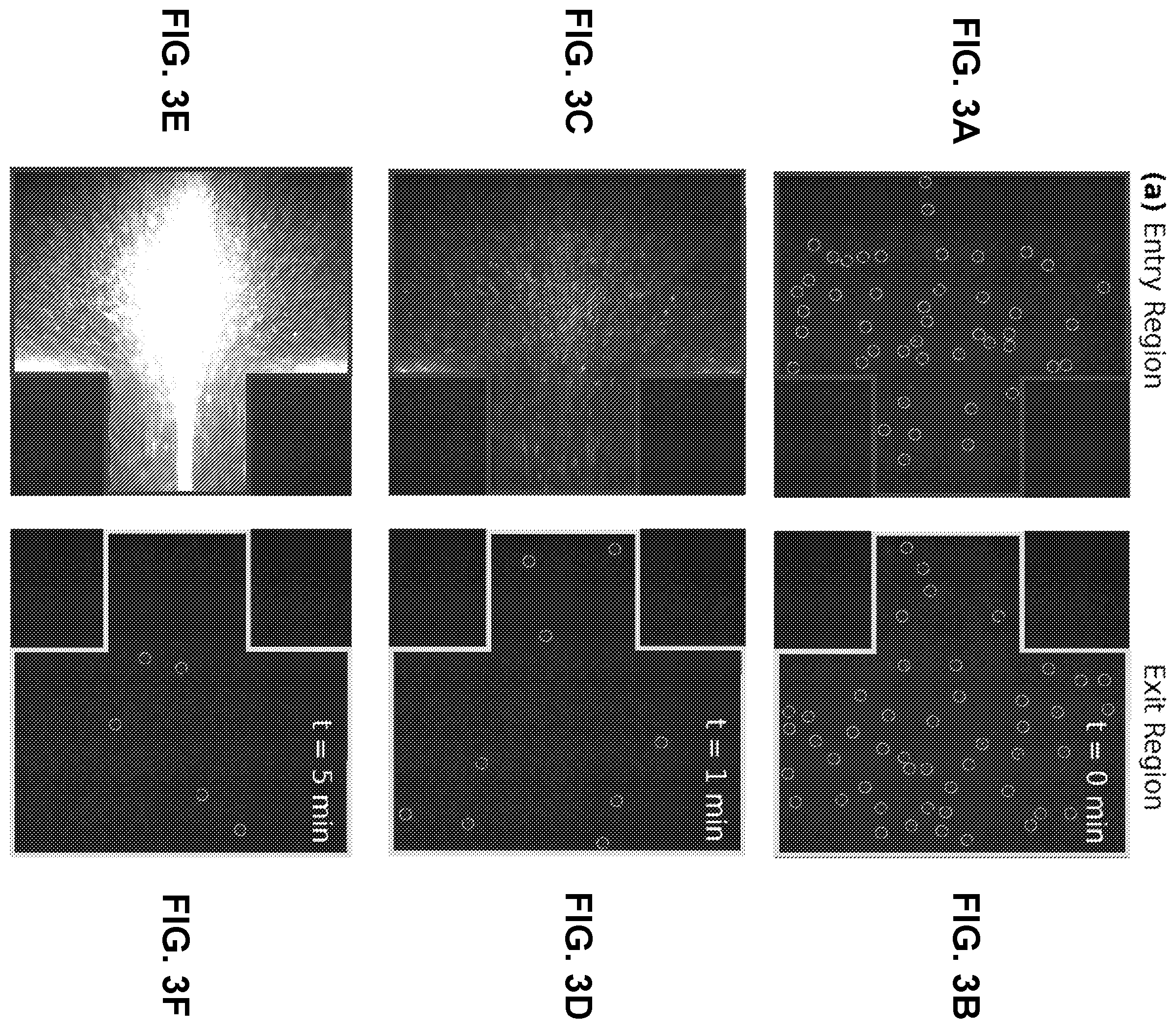 Patent US12496583 Figure 3 – Microfluidic trap