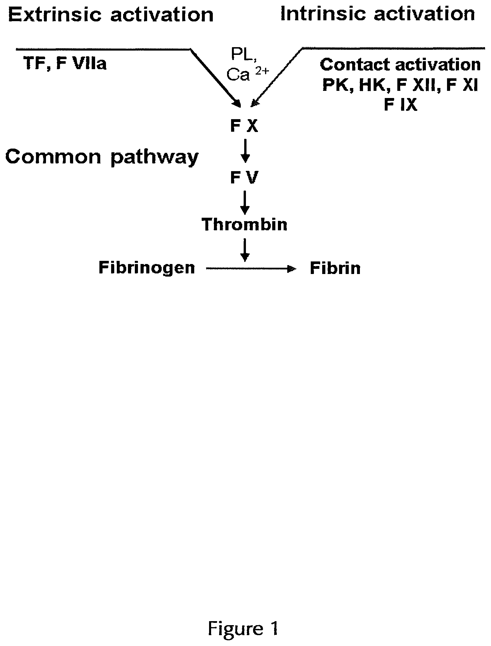 Patent US12496585 Figure 1 – Coated articles for blood coagulation testing and methods of preparing the same