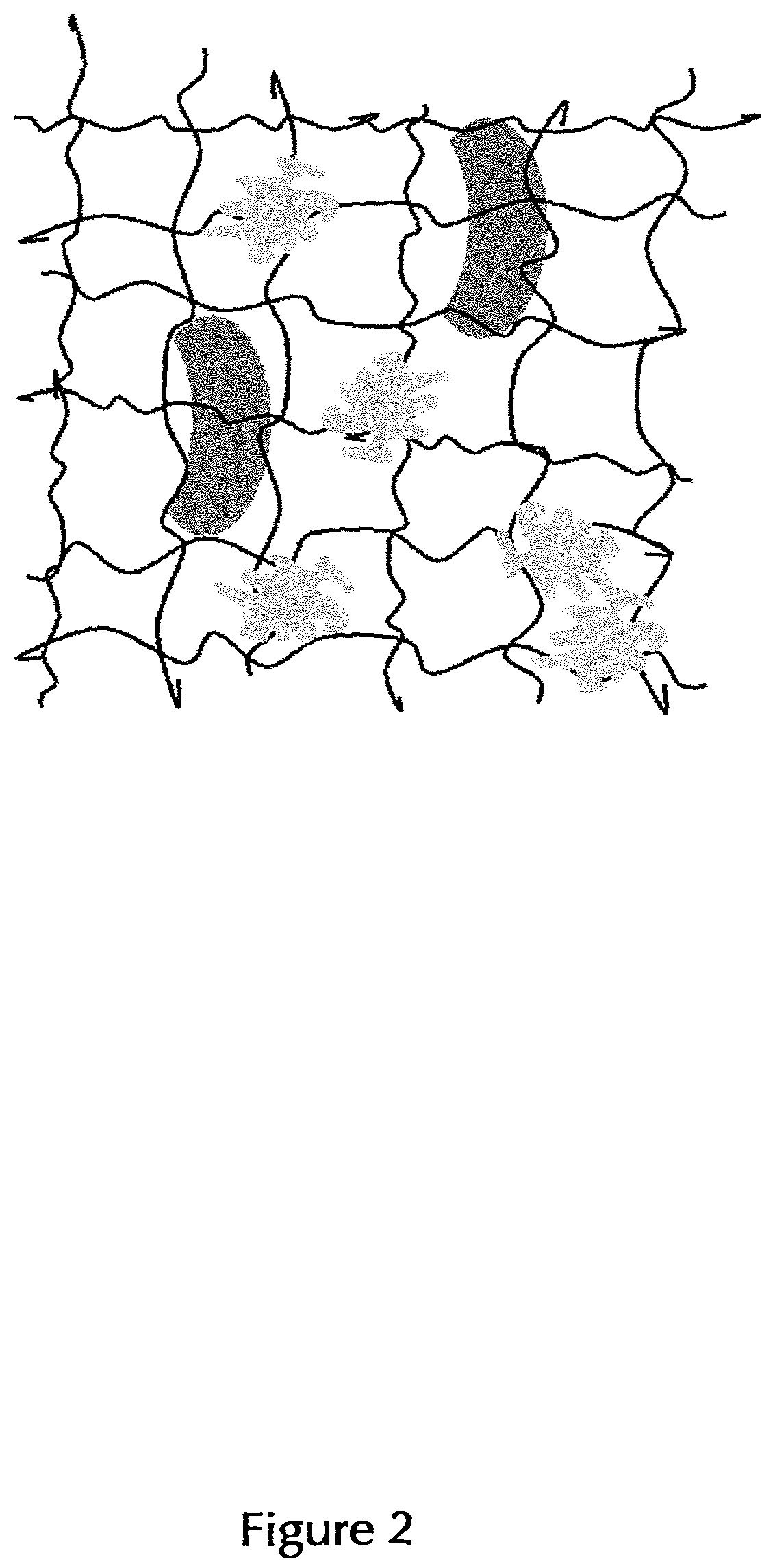 Patent US12496585 Figure 2 – Coated articles for blood coagulation testing and methods of preparing the same