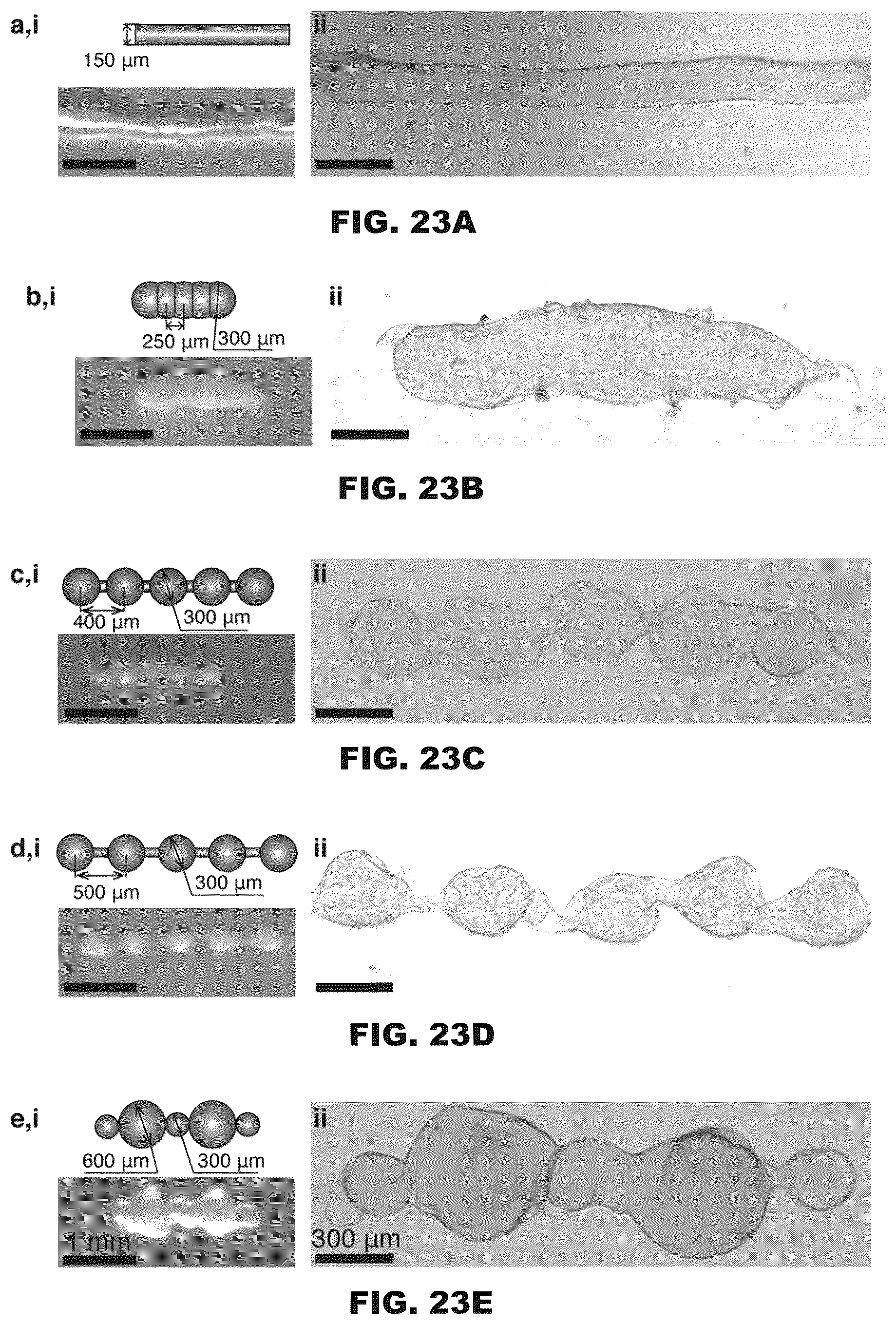 Patent US12496767 Figure 14 – Digital assembly of spherical hydrogel voxels to form 3D lattice structures
