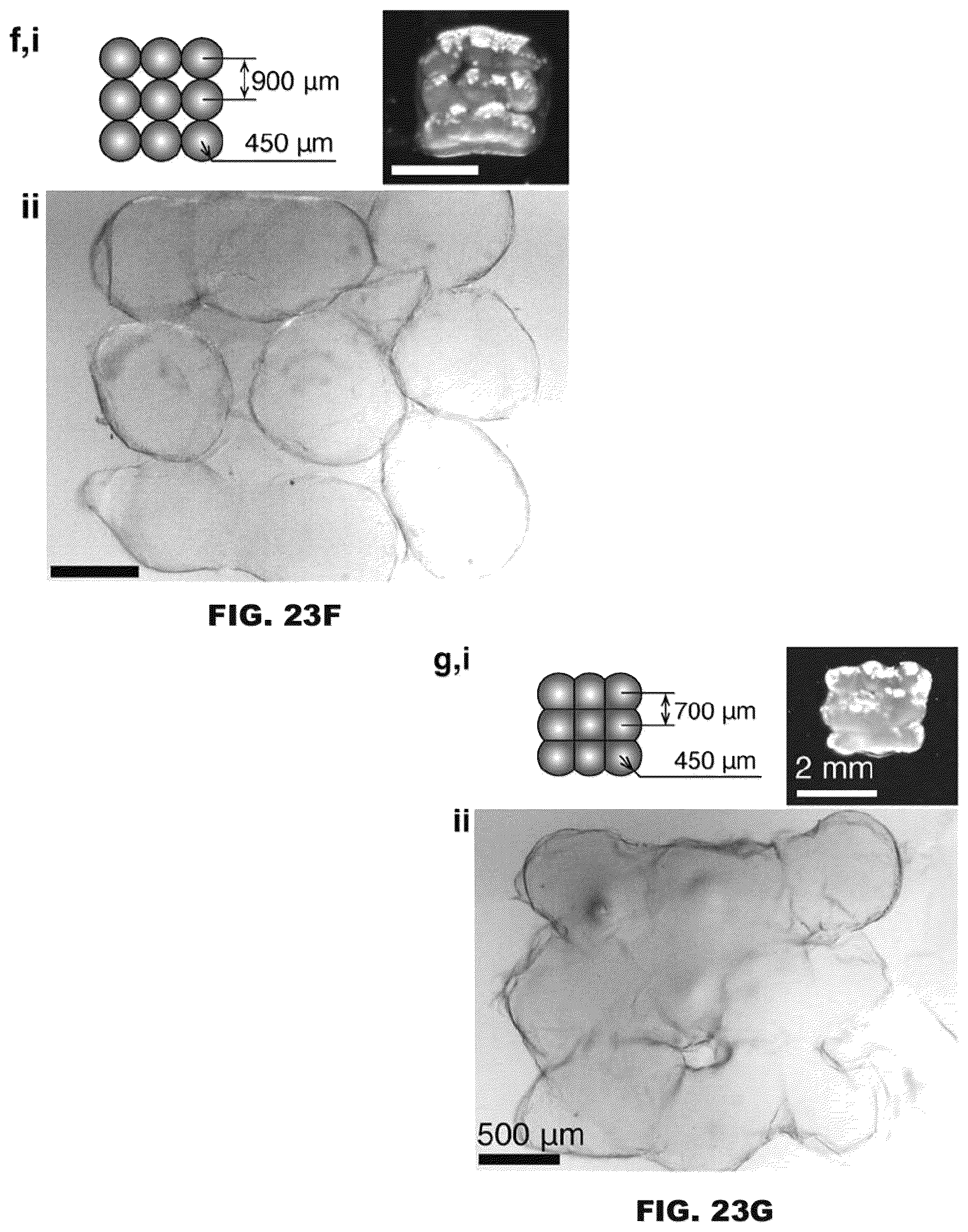 Patent US12496767 Figure 15 – Digital assembly of spherical hydrogel voxels to form 3D lattice structures