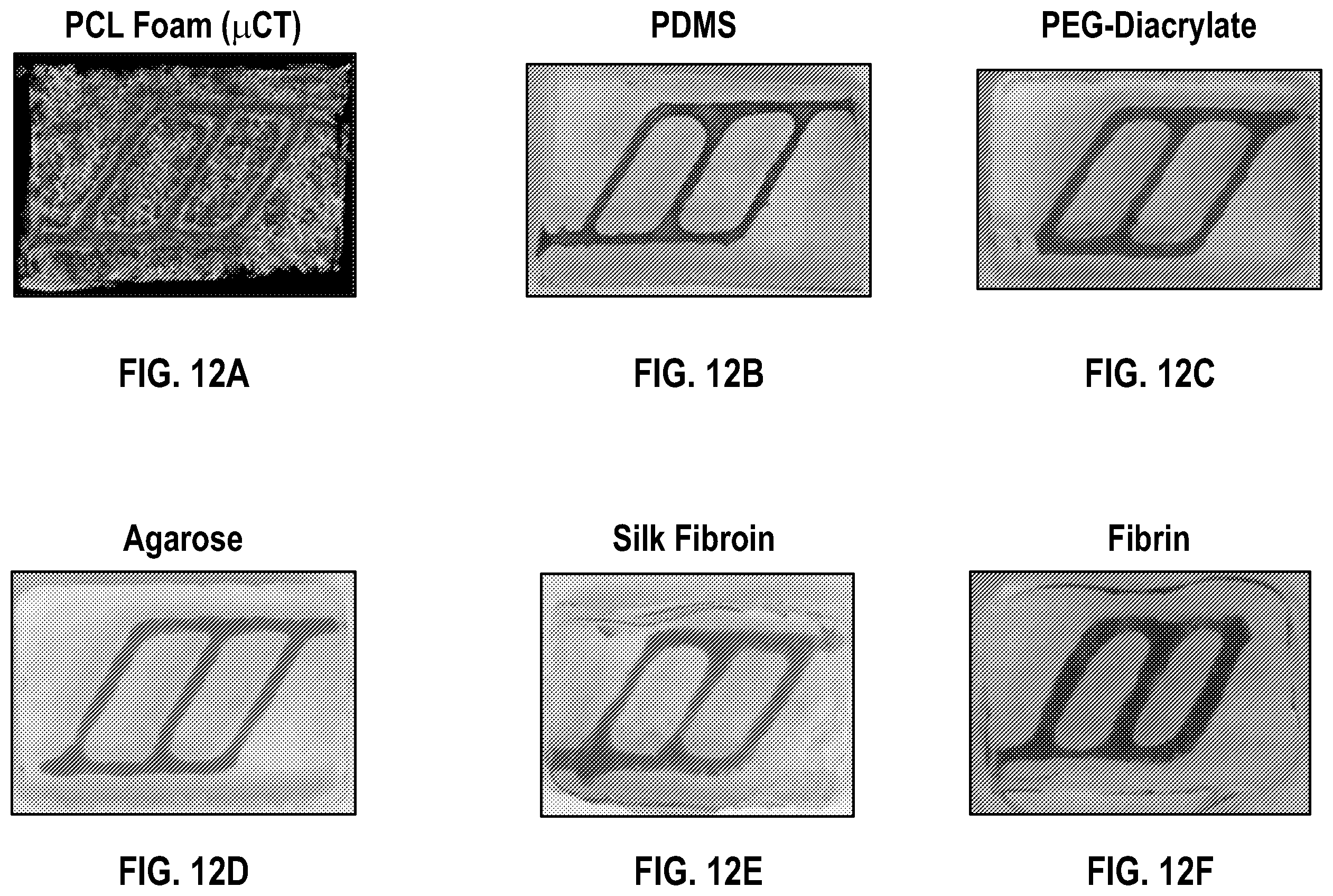 Patent US12496775 Figure 14 – Methods of fabricating laser-sintered carbohydrate materials and compositions and uses thereof