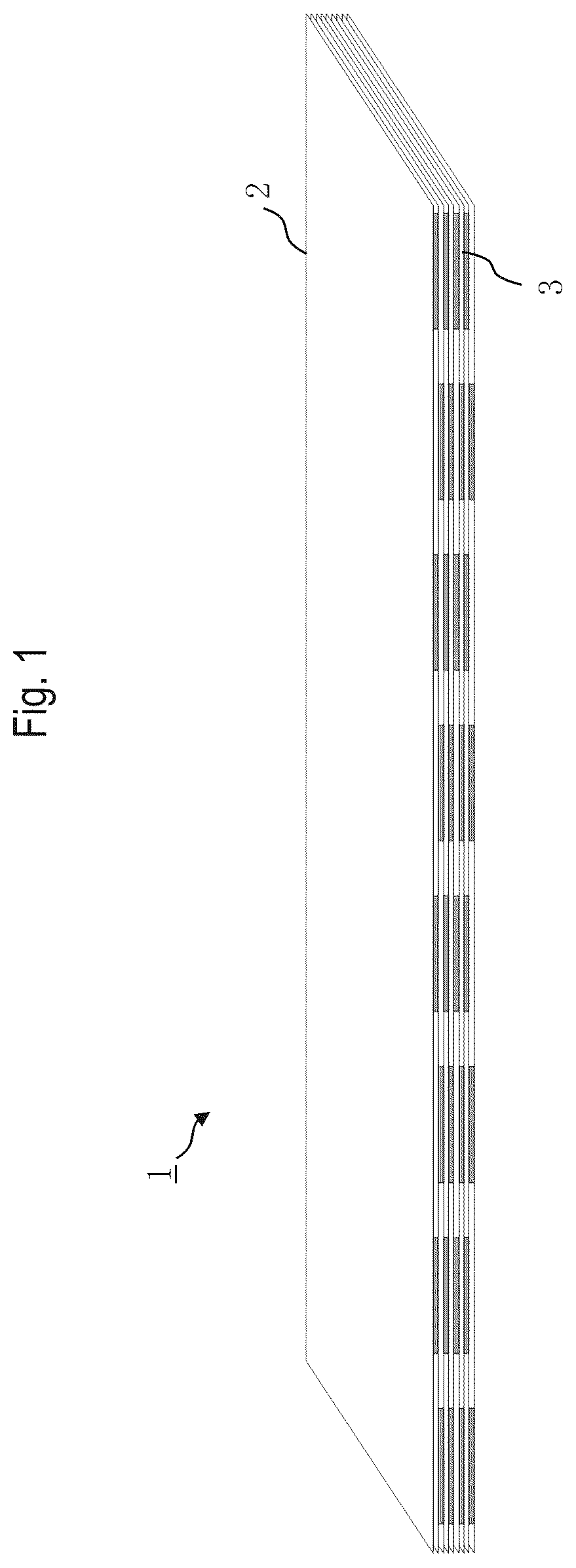 Patent US12496800 — Ribbon laminated body — Figure 1