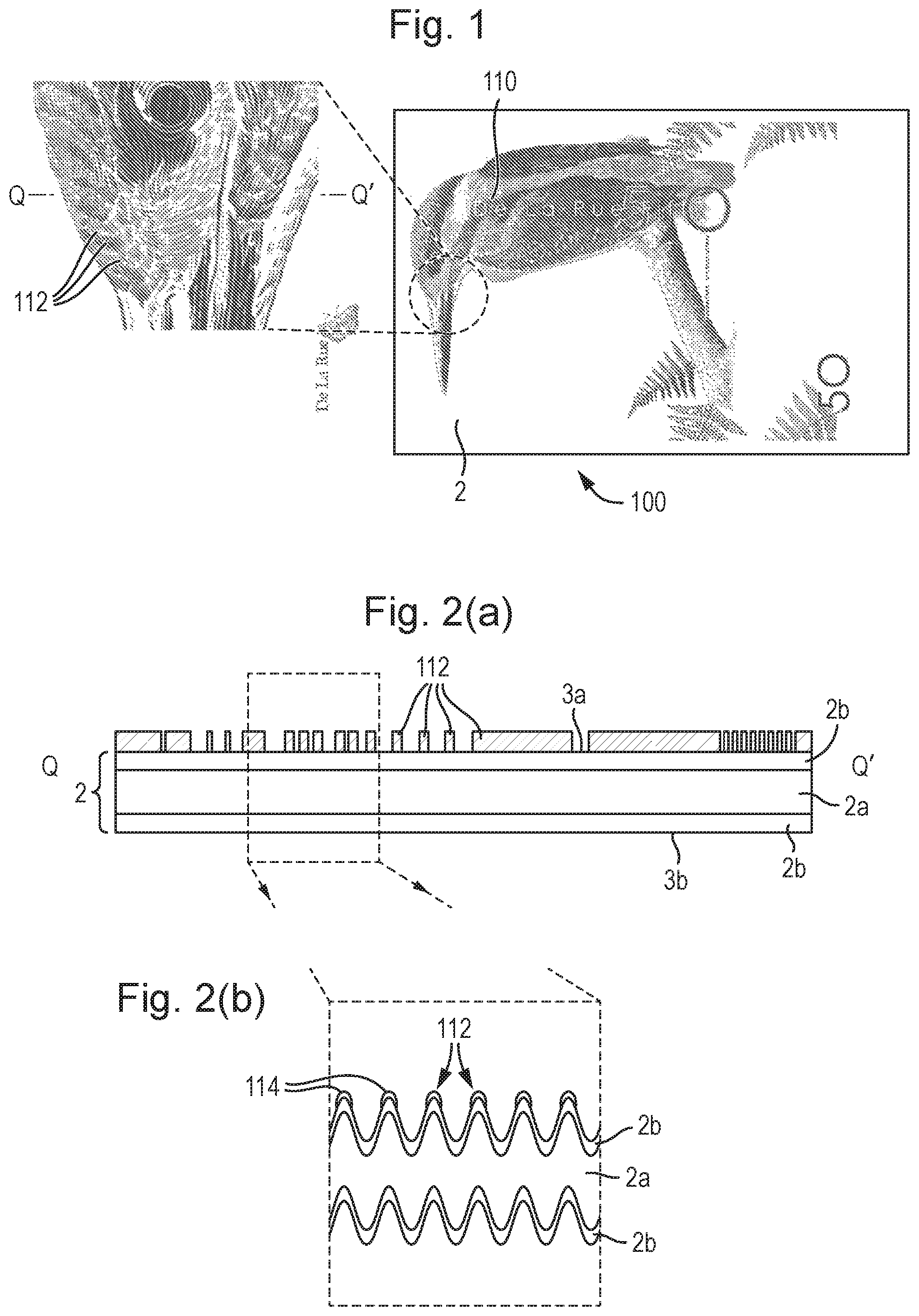 Patent US12496847 Figure 1 – Security devices and method of manufacture thereof