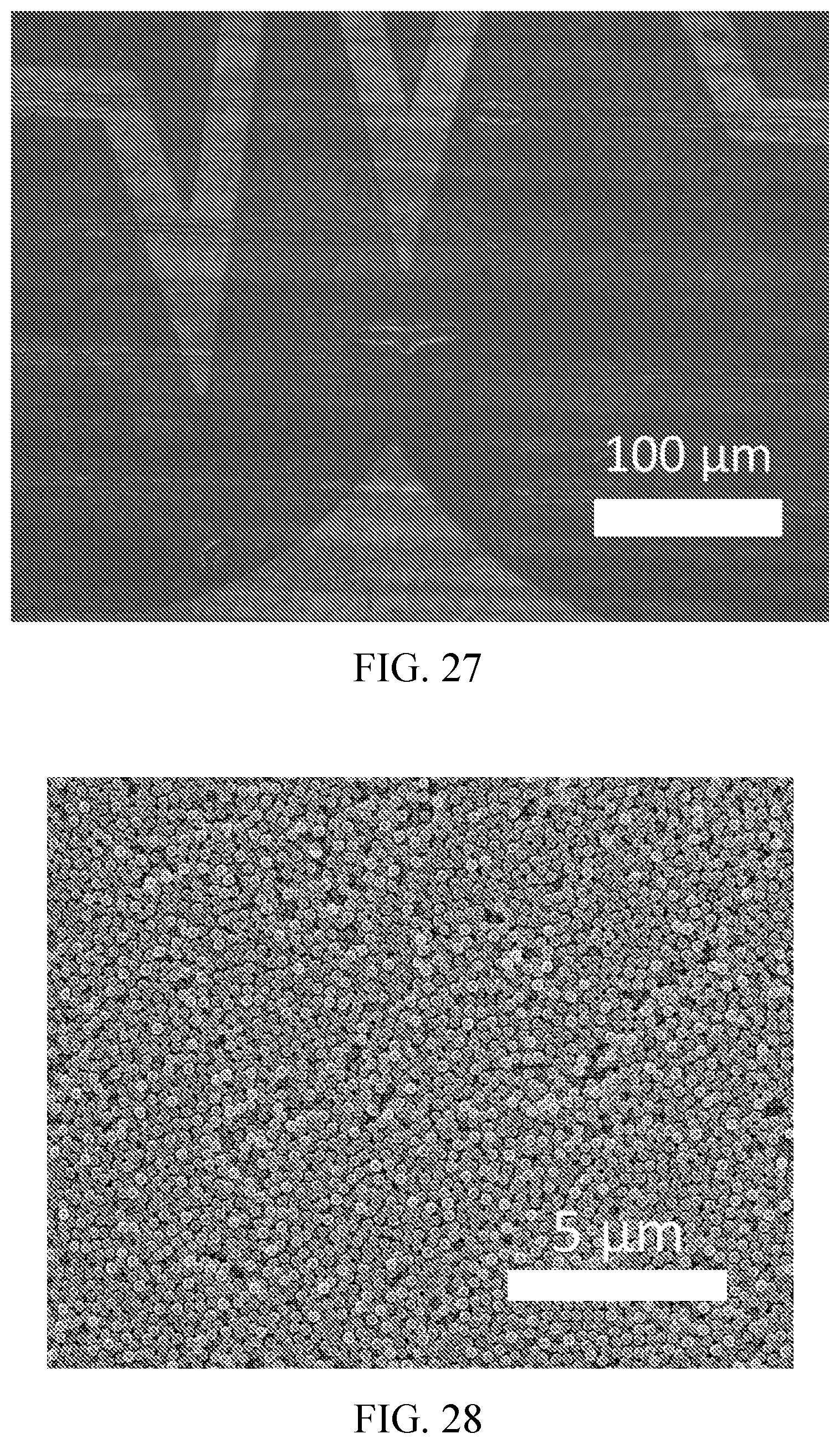 Patent US12496848 Figure 16 – Thin film, method of producing the thin film, and product comprising the thin film