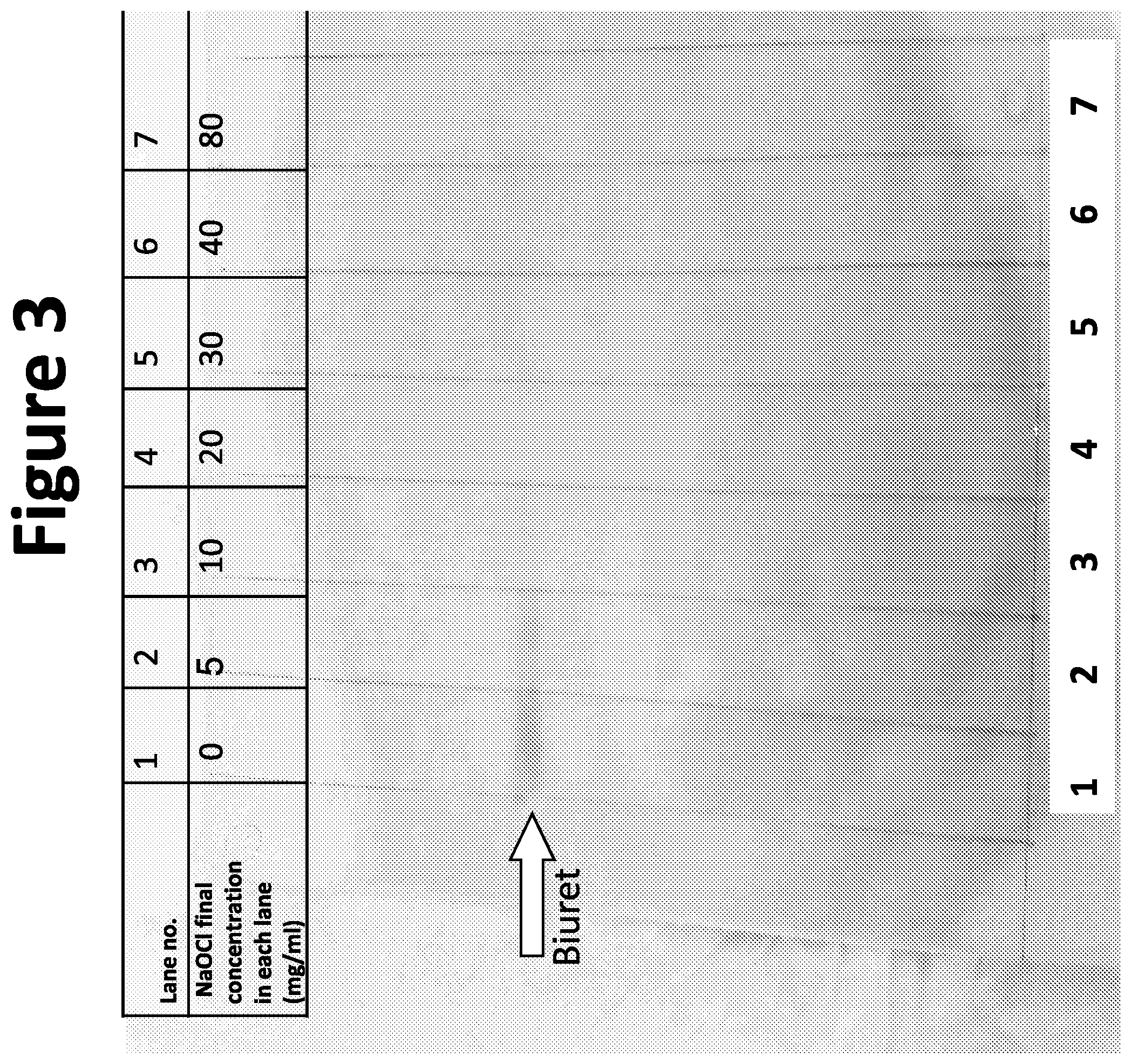 Patent US12497310 Figure 3 – Hypochlorite-mediated single enzyme methods for cyanuric acid removal from water