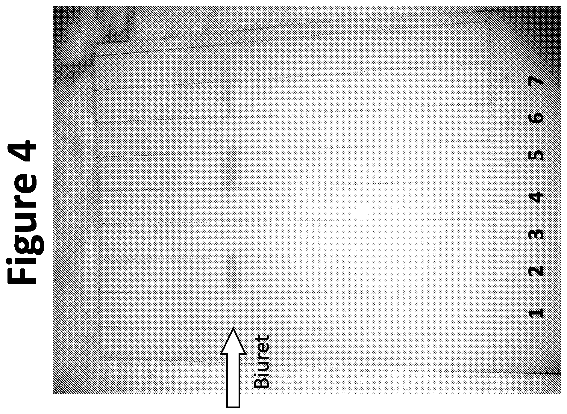 Patent US12497310 Figure 4 – Hypochlorite-mediated single enzyme methods for cyanuric acid removal from water