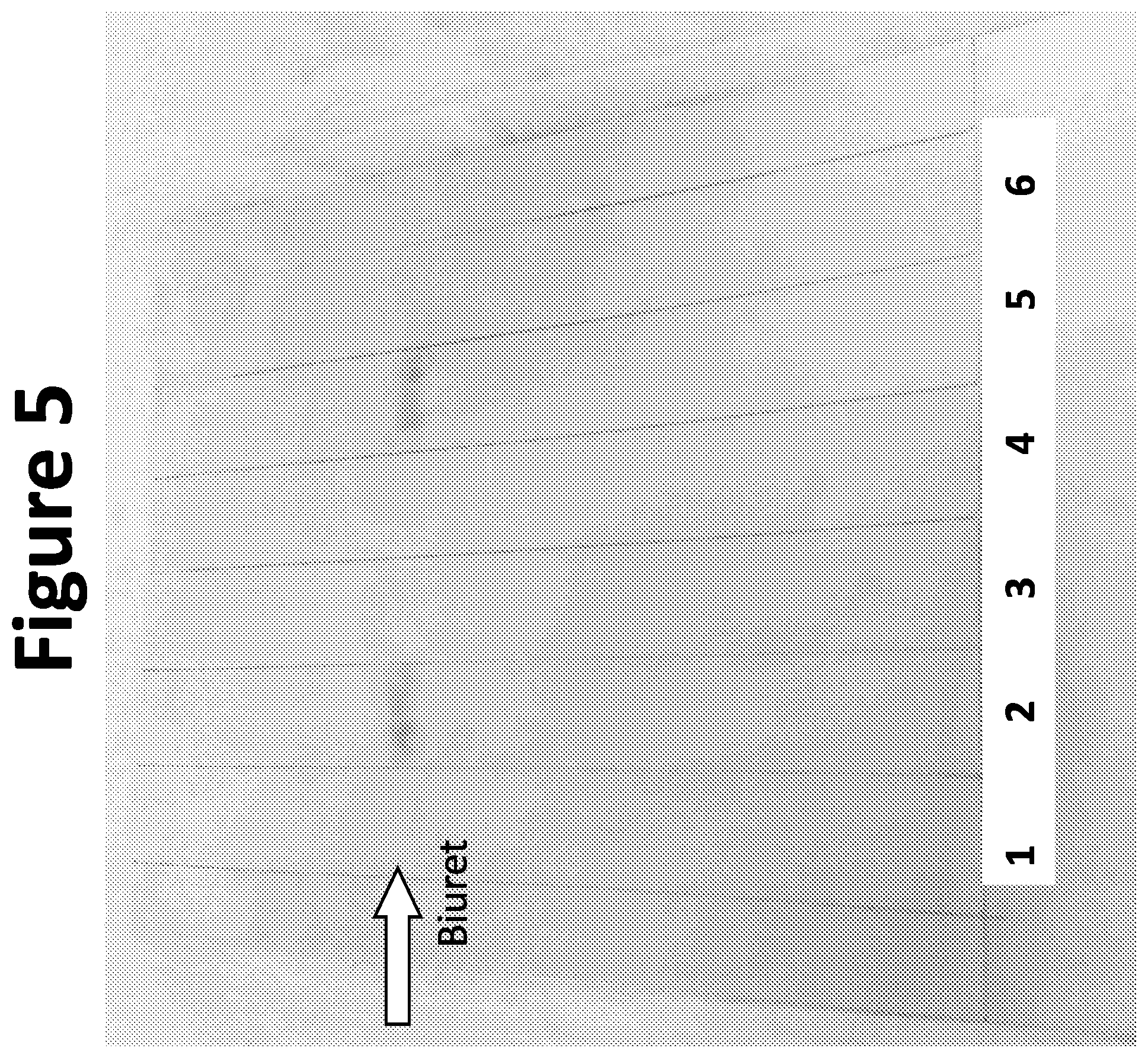 Patent US12497310 Figure 5 – Hypochlorite-mediated single enzyme methods for cyanuric acid removal from water