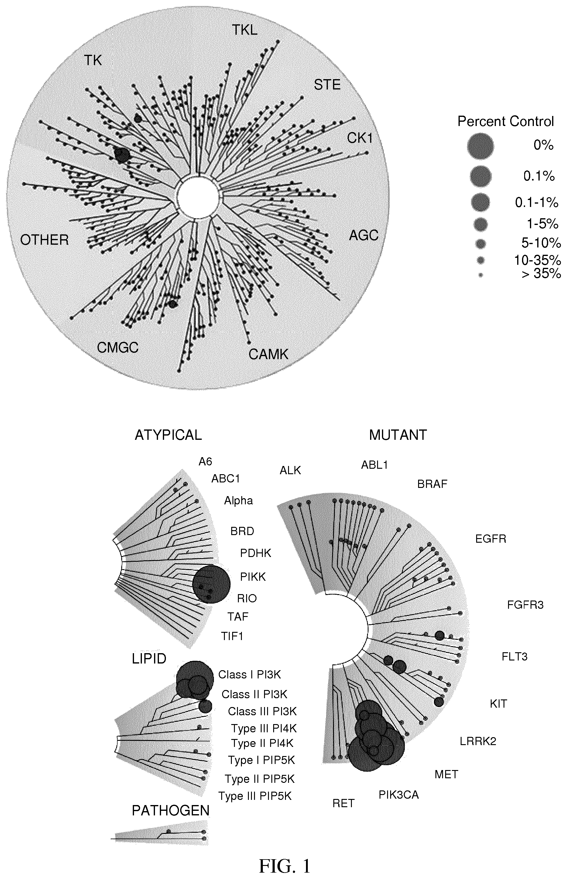 Patent US12497407 Figure 1 – Treatment of skin disorders