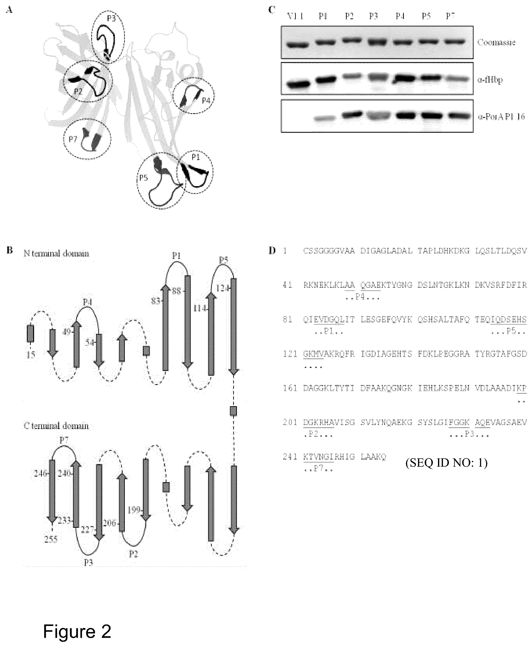 Patent US12497432 Figure 2 – Modified factor H binding protein