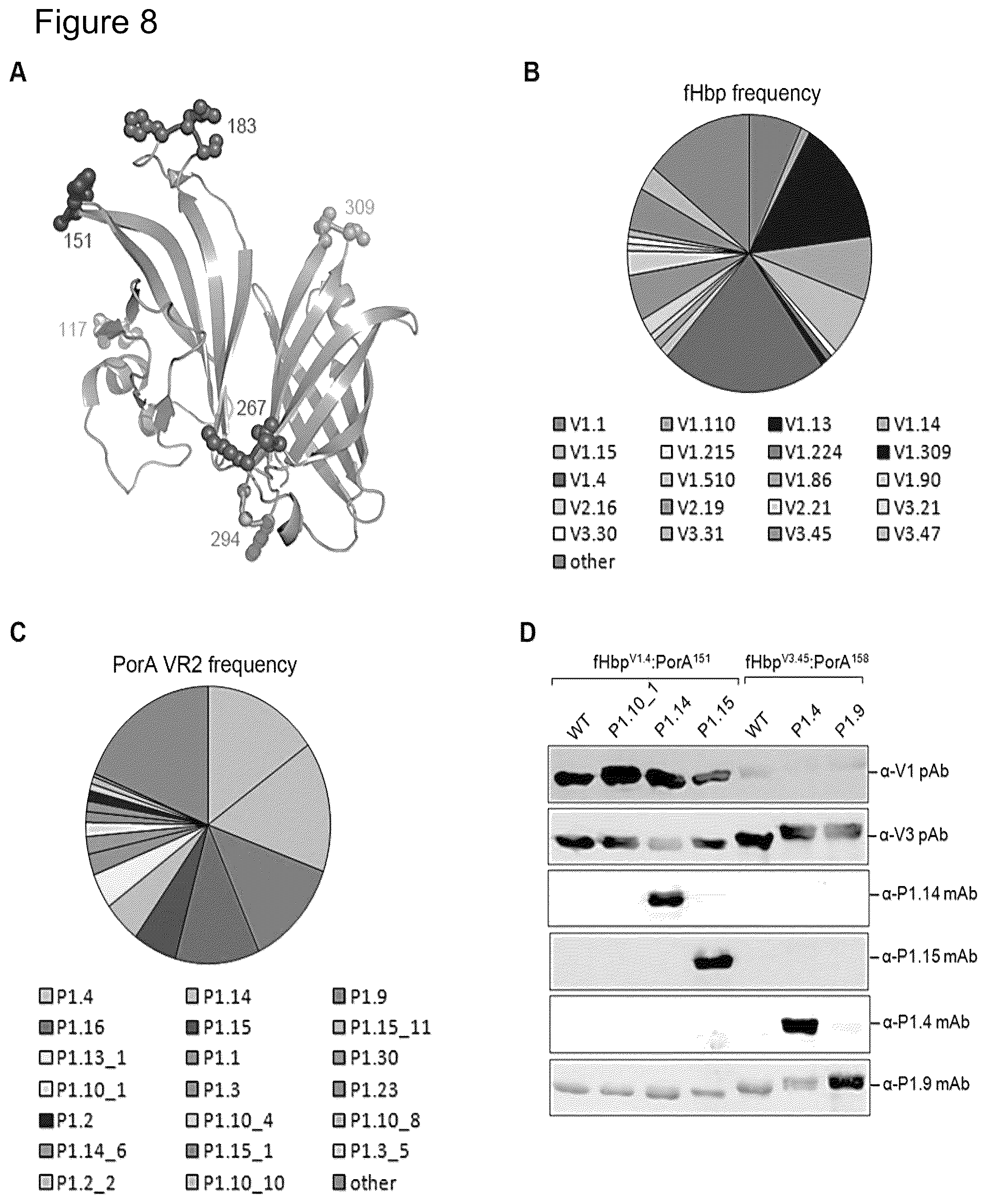 Patent US12497432 Figure 8 – Modified factor H binding protein