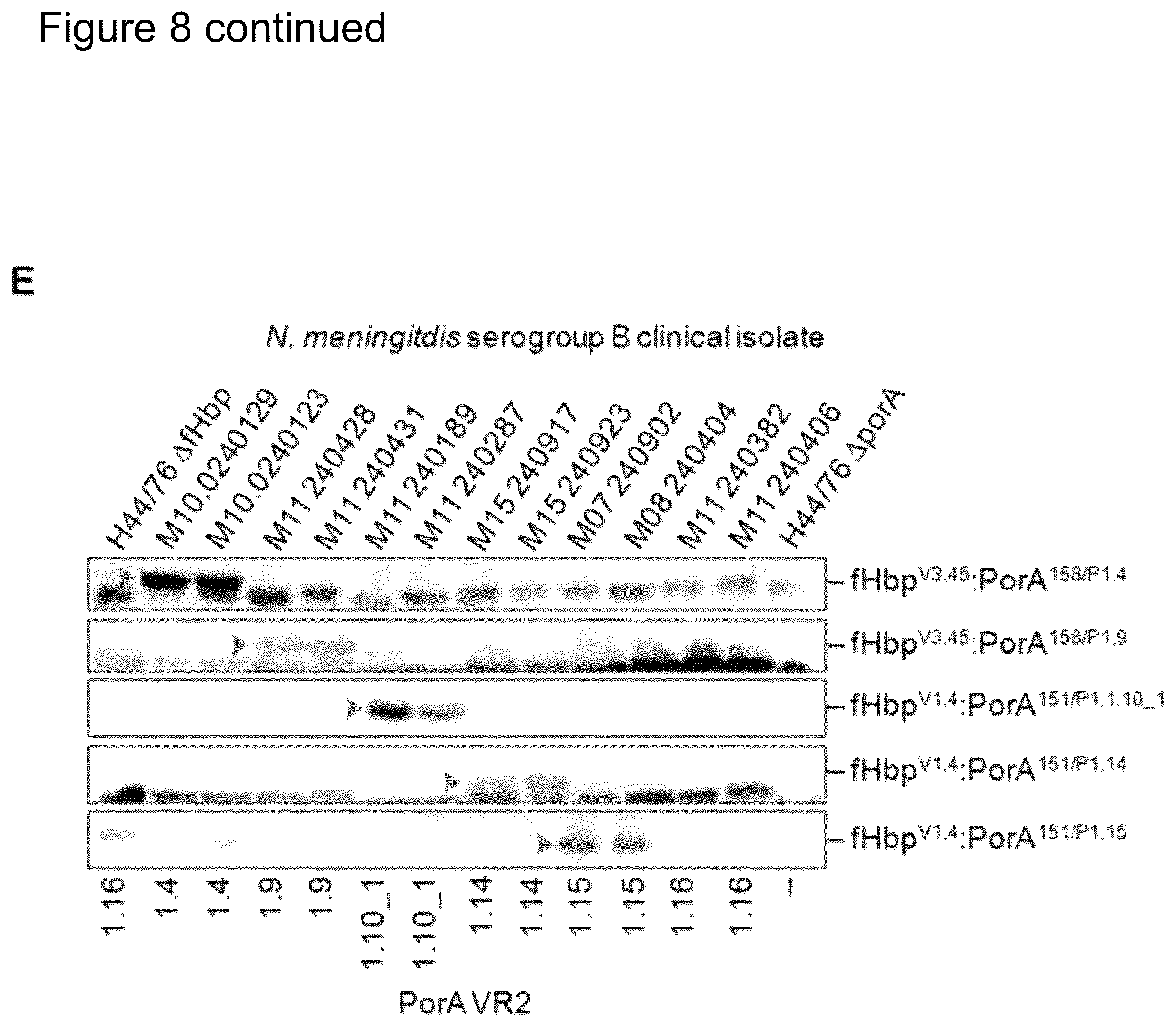 Patent US12497432 Figure 9 – Modified factor H binding protein
