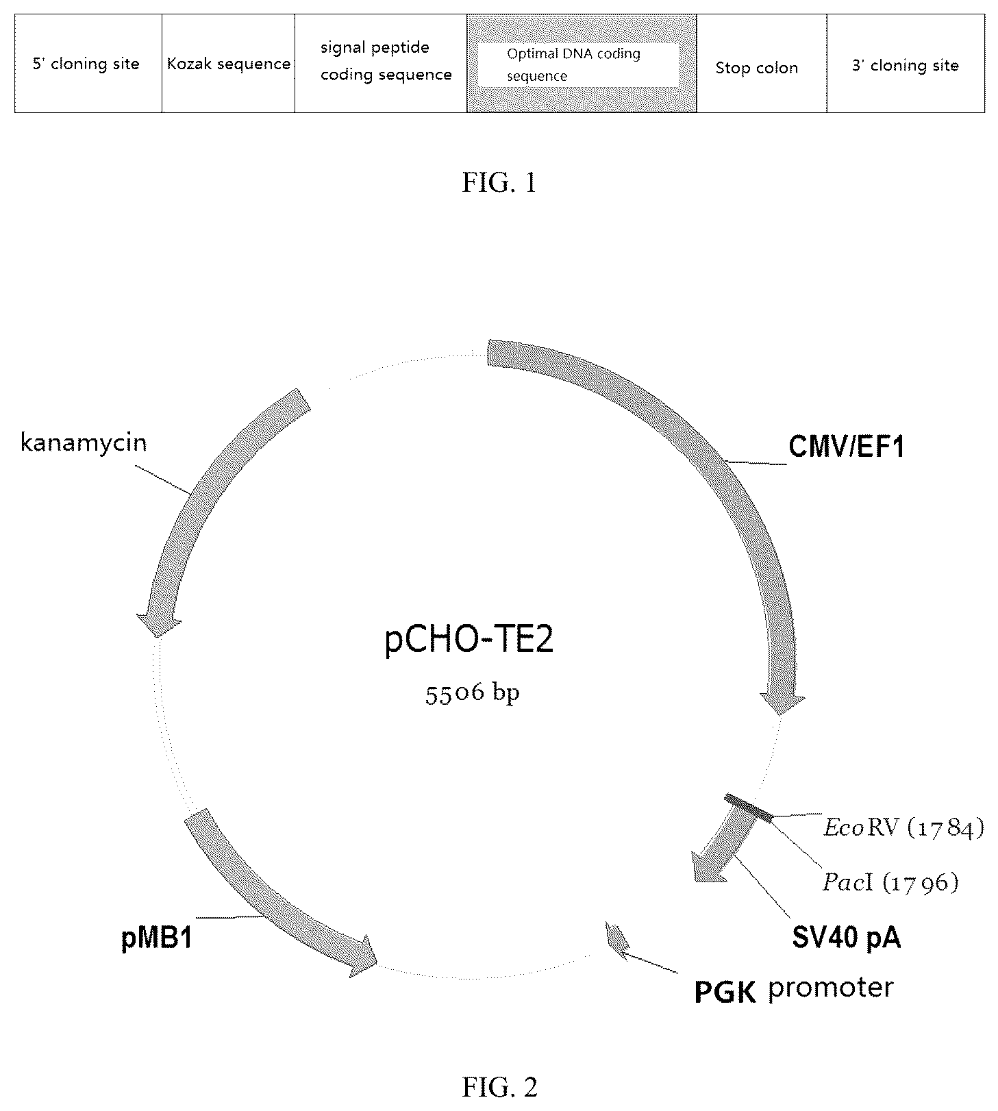 Patent US12497456 Figure 1 – Bispecific recombinant protein and use thereof