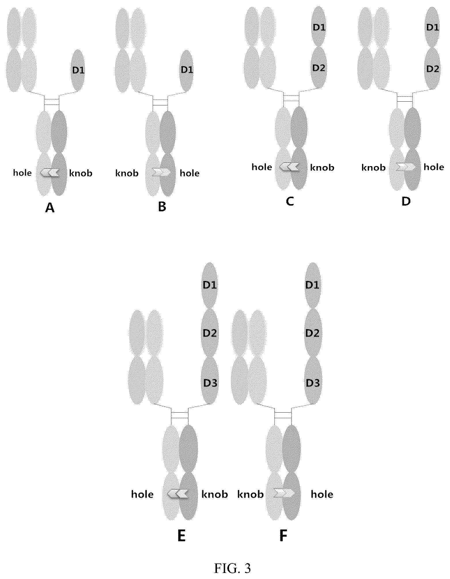 Patent US12497456 Figure 2 – Bispecific recombinant protein and use thereof