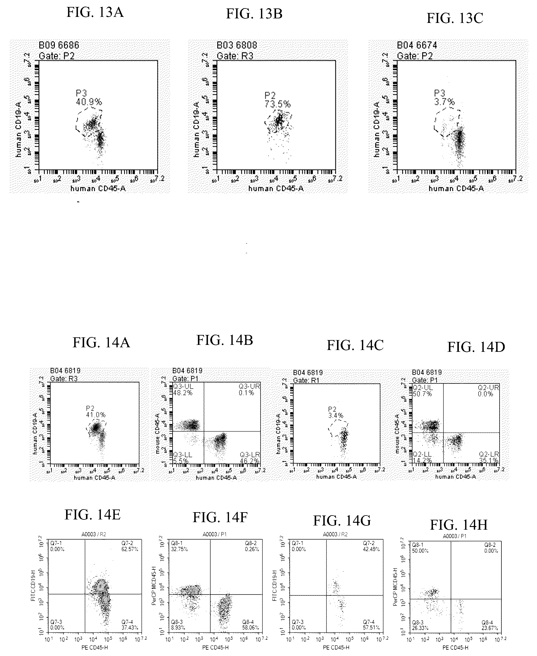 Patent US12497456 Figure 9 – Bispecific recombinant protein and use thereof