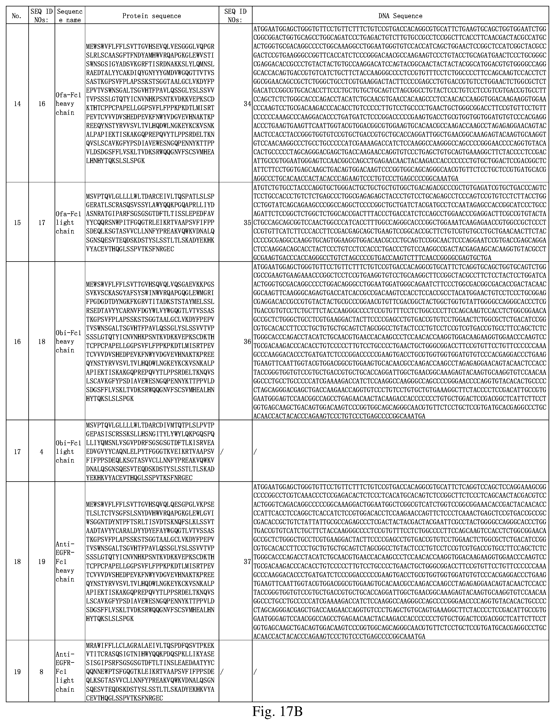 Patent US12497456 Figure 13 – Bispecific recombinant protein and use thereof