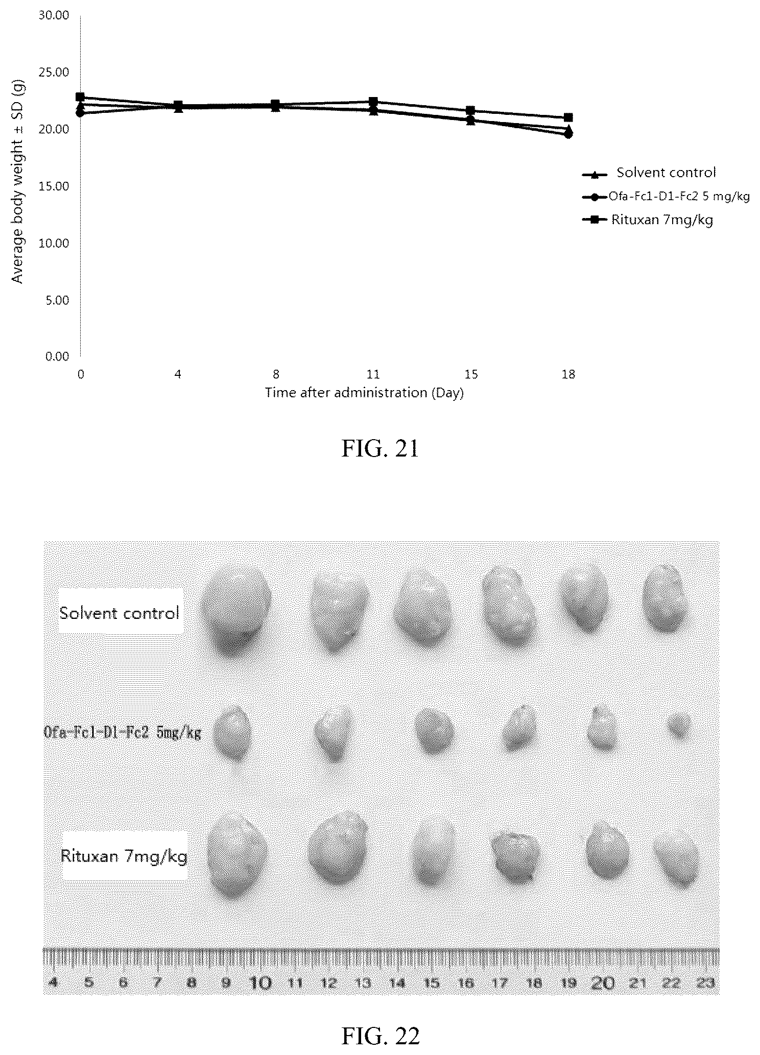 Patent US12497456 Figure 19 – Bispecific recombinant protein and use thereof