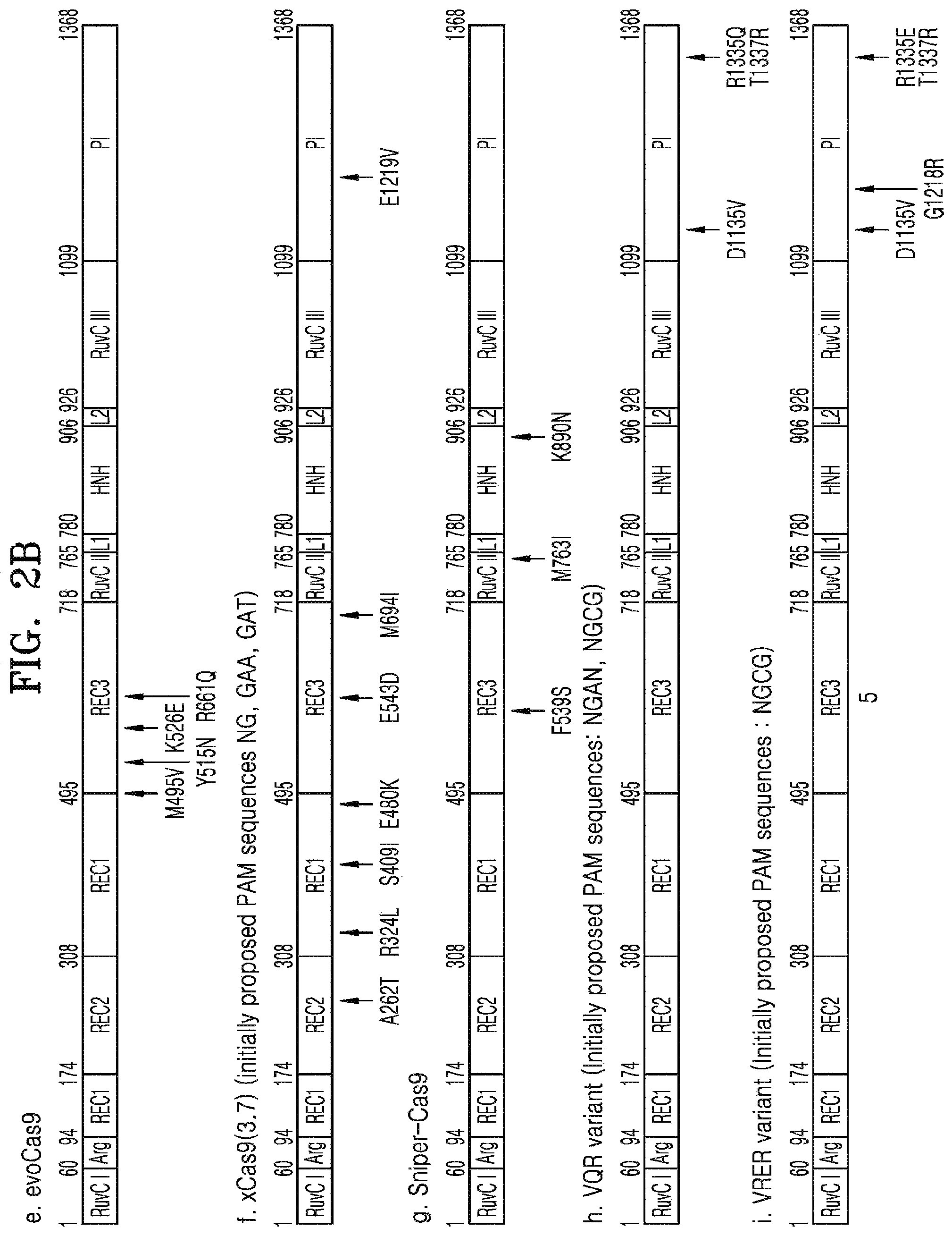 Patent US12497609 Figure 3 – Protospacer adjacent motif sequence and method for modifying target nucleic acid in genome of cell by using same