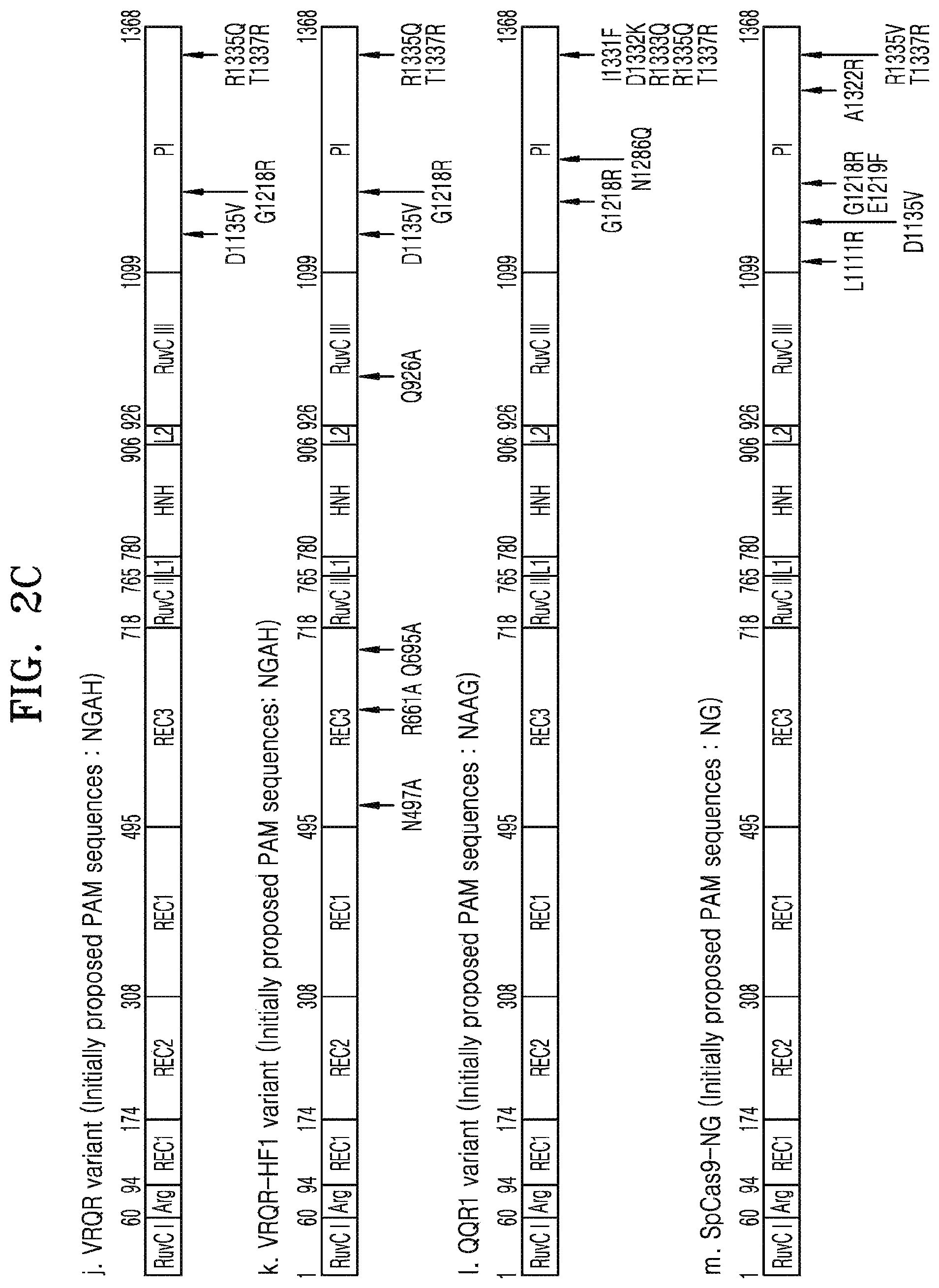 Patent US12497609 Figure 4 – Protospacer adjacent motif sequence and method for modifying target nucleic acid in genome of cell by using same
