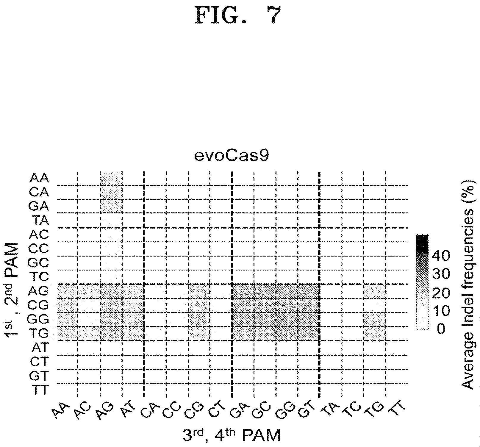 Patent US12497609 Figure 9 – Protospacer adjacent motif sequence and method for modifying target nucleic acid in genome of cell by using same