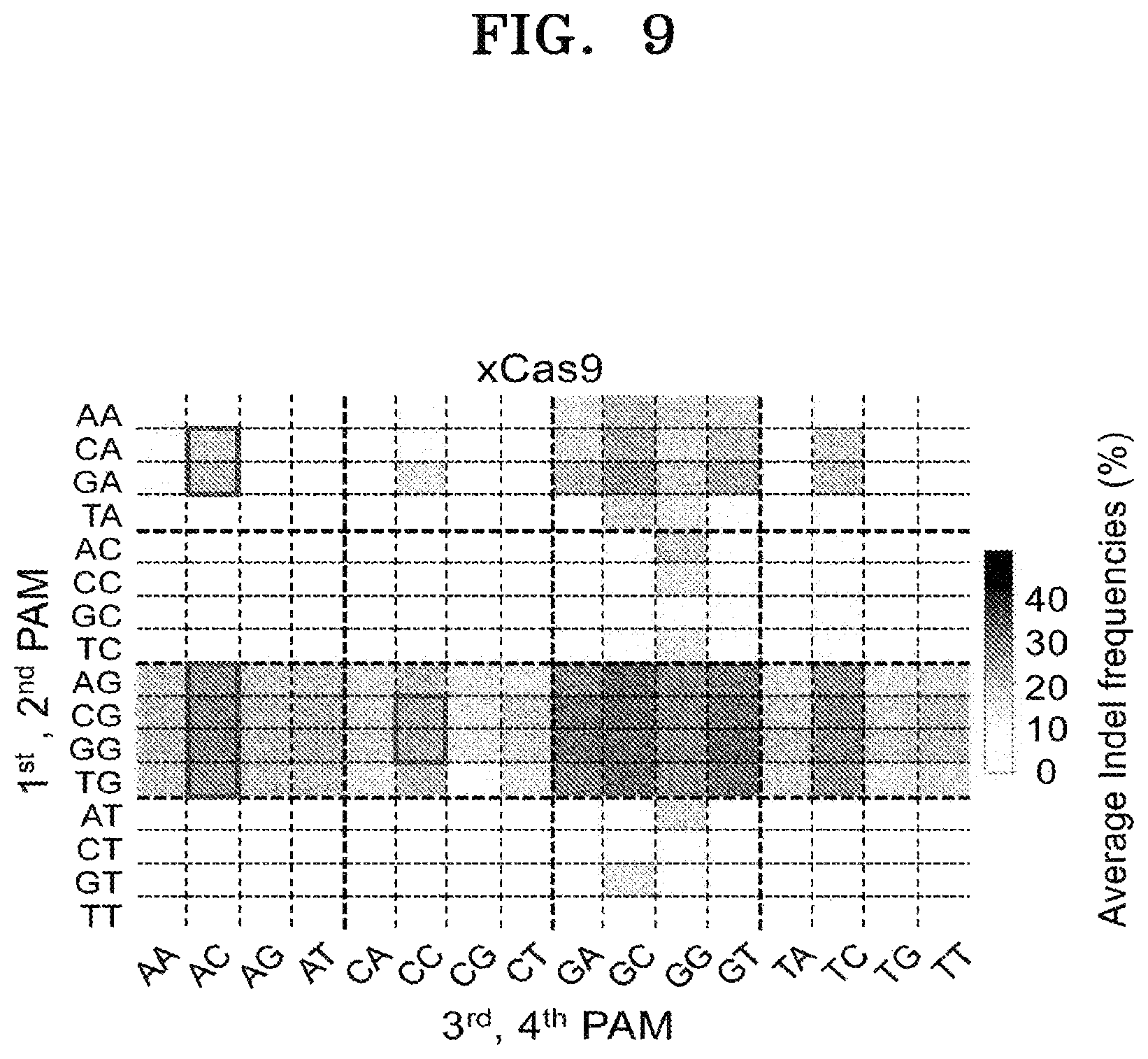 Patent US12497609 Figure 11 – Protospacer adjacent motif sequence and method for modifying target nucleic acid in genome of cell by using same
