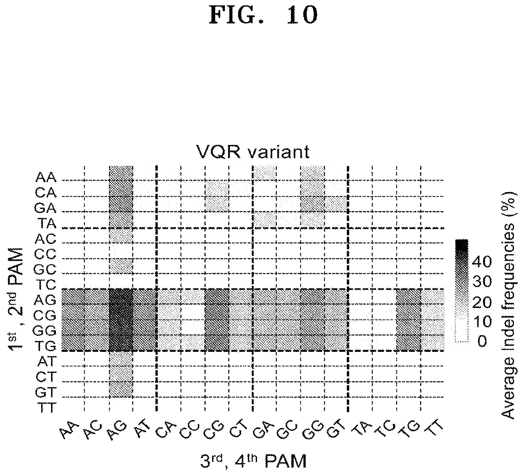 Patent US12497609 Figure 12 – Protospacer adjacent motif sequence and method for modifying target nucleic acid in genome of cell by using same