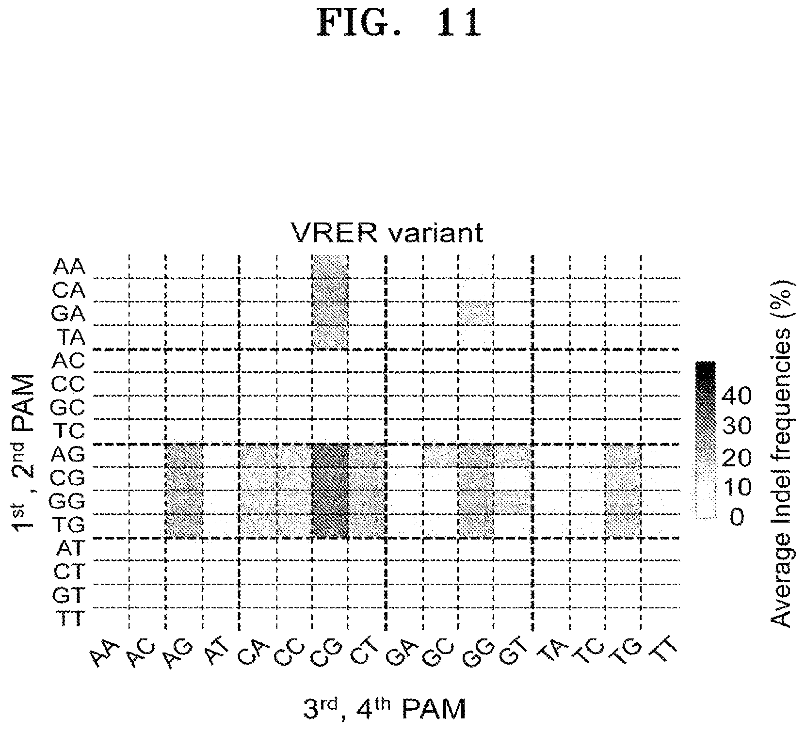 Patent US12497609 Figure 13 – Protospacer adjacent motif sequence and method for modifying target nucleic acid in genome of cell by using same