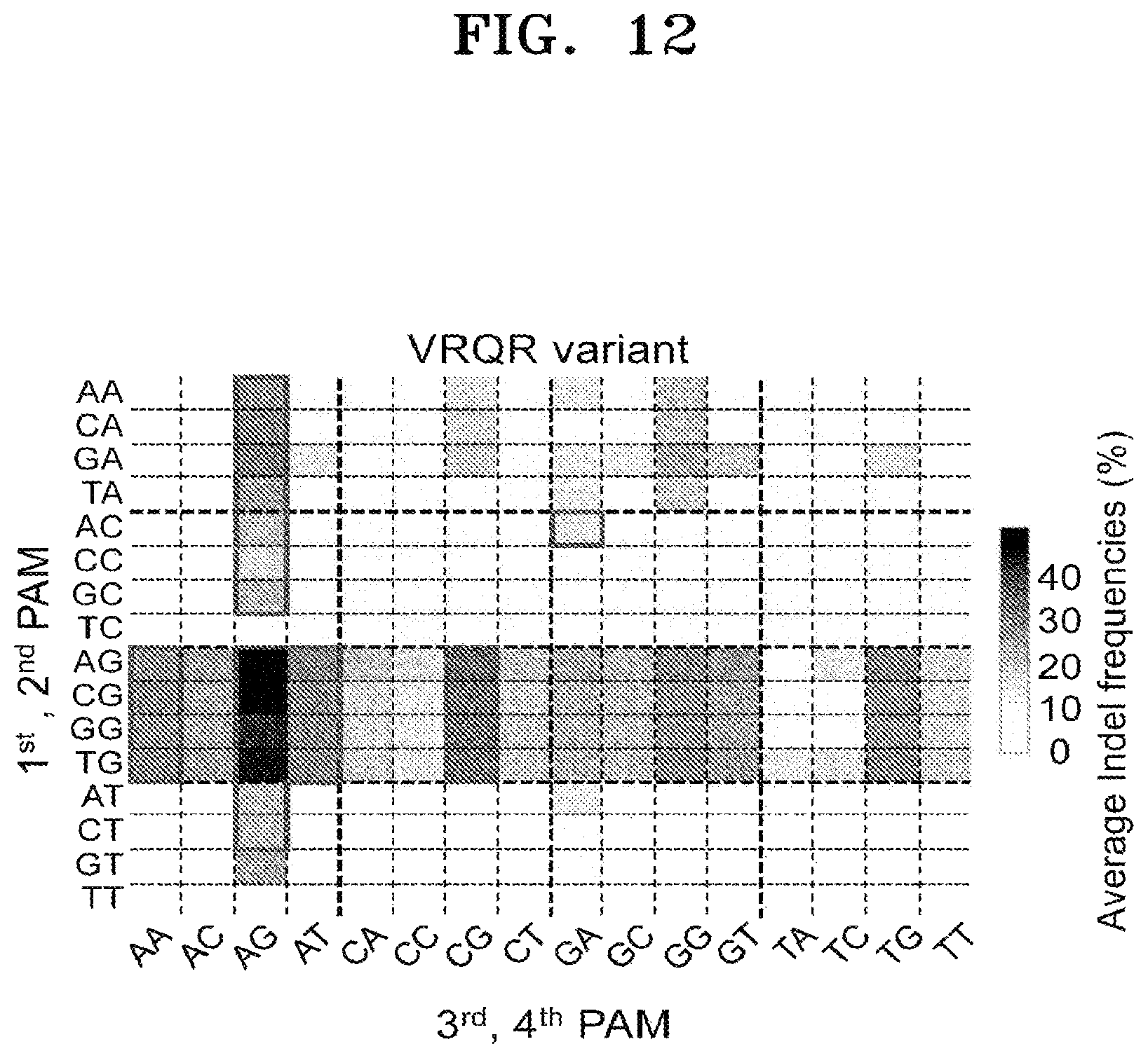 Patent US12497609 Figure 14 – Protospacer adjacent motif sequence and method for modifying target nucleic acid in genome of cell by using same