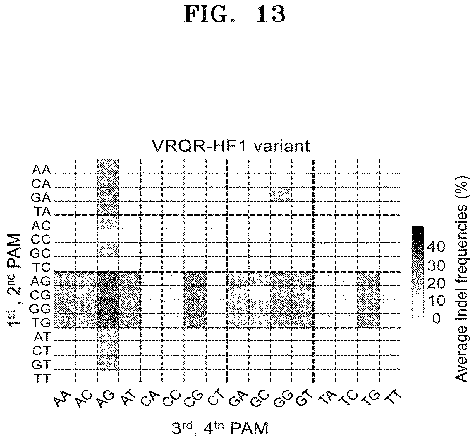 Patent US12497609 Figure 15 – Protospacer adjacent motif sequence and method for modifying target nucleic acid in genome of cell by using same