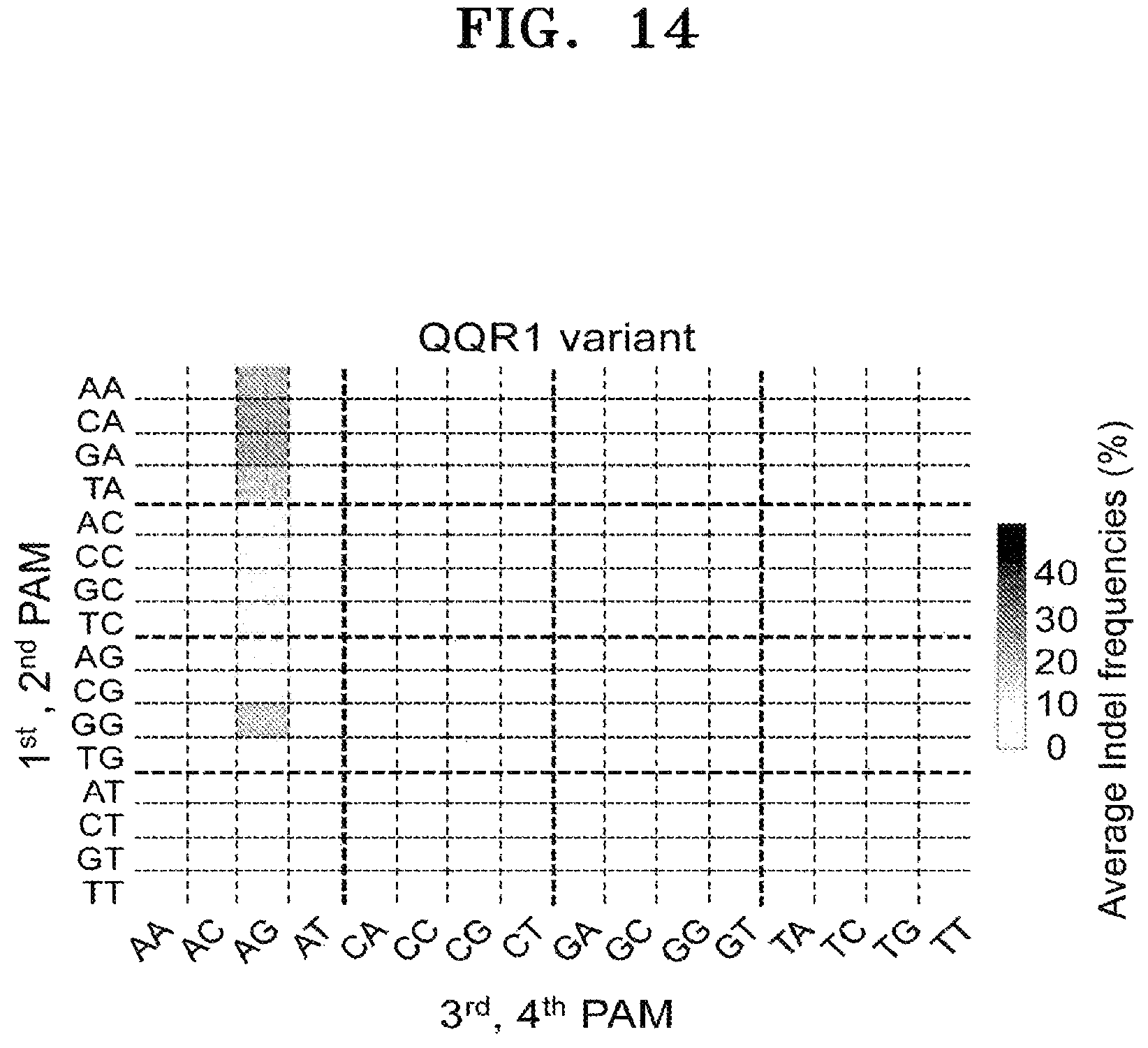 Patent US12497609 Figure 16 – Protospacer adjacent motif sequence and method for modifying target nucleic acid in genome of cell by using same