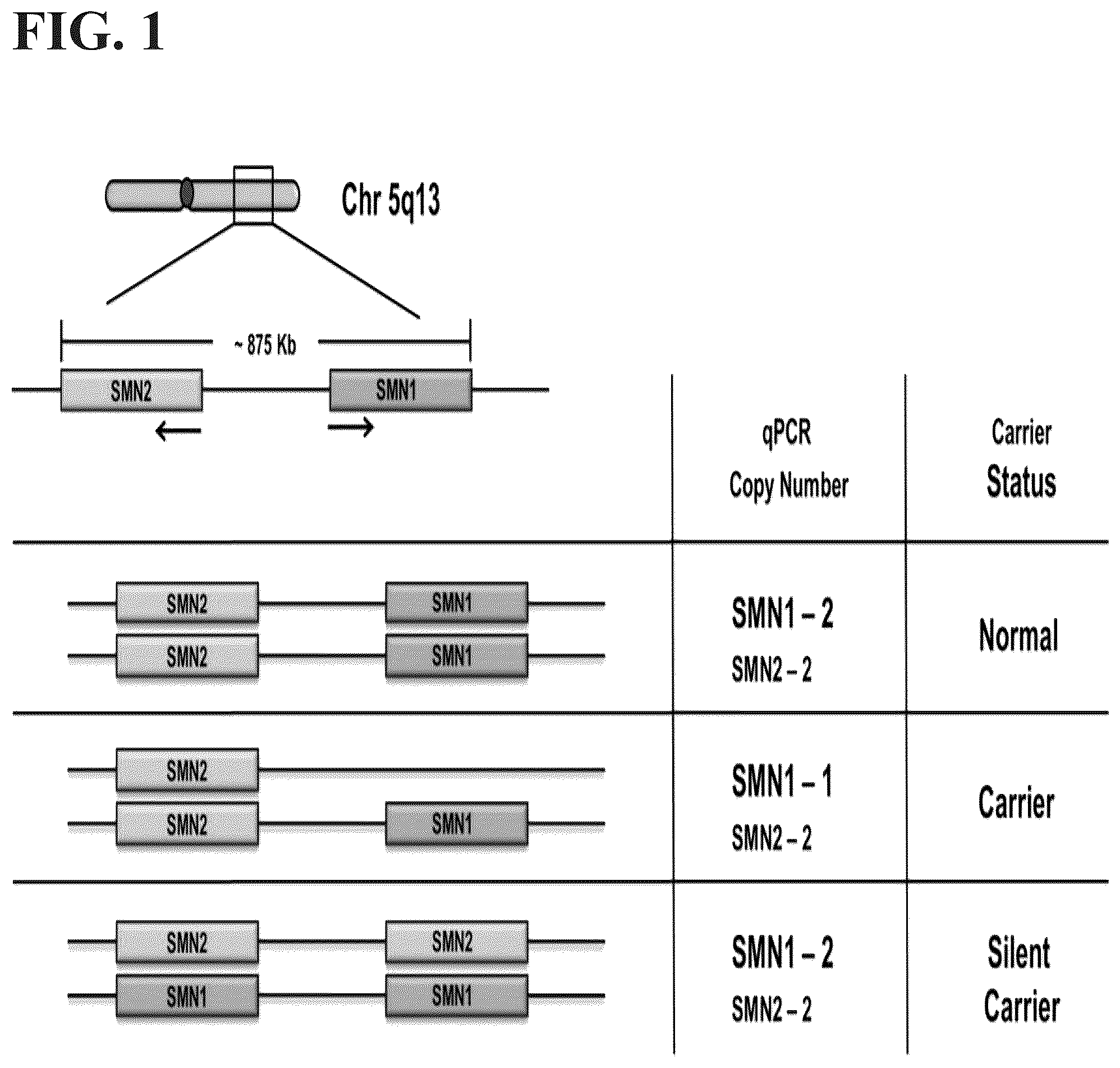 Patent US12497658 Figure 1 – Methods to detect a silent carrier genotype
