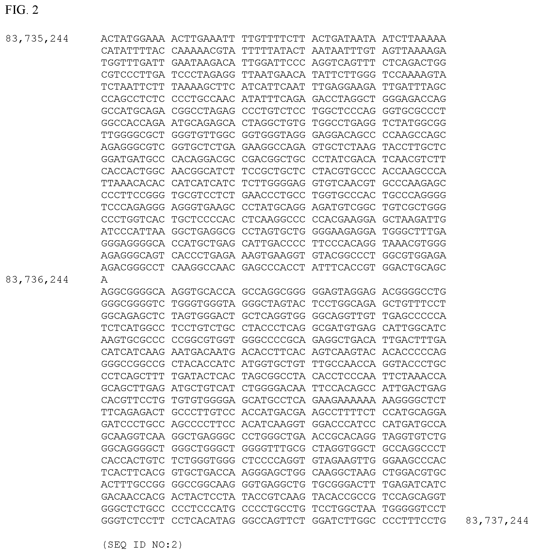 Patent US12497659 Figure 2 – Method of detecting inherited equine myopathy