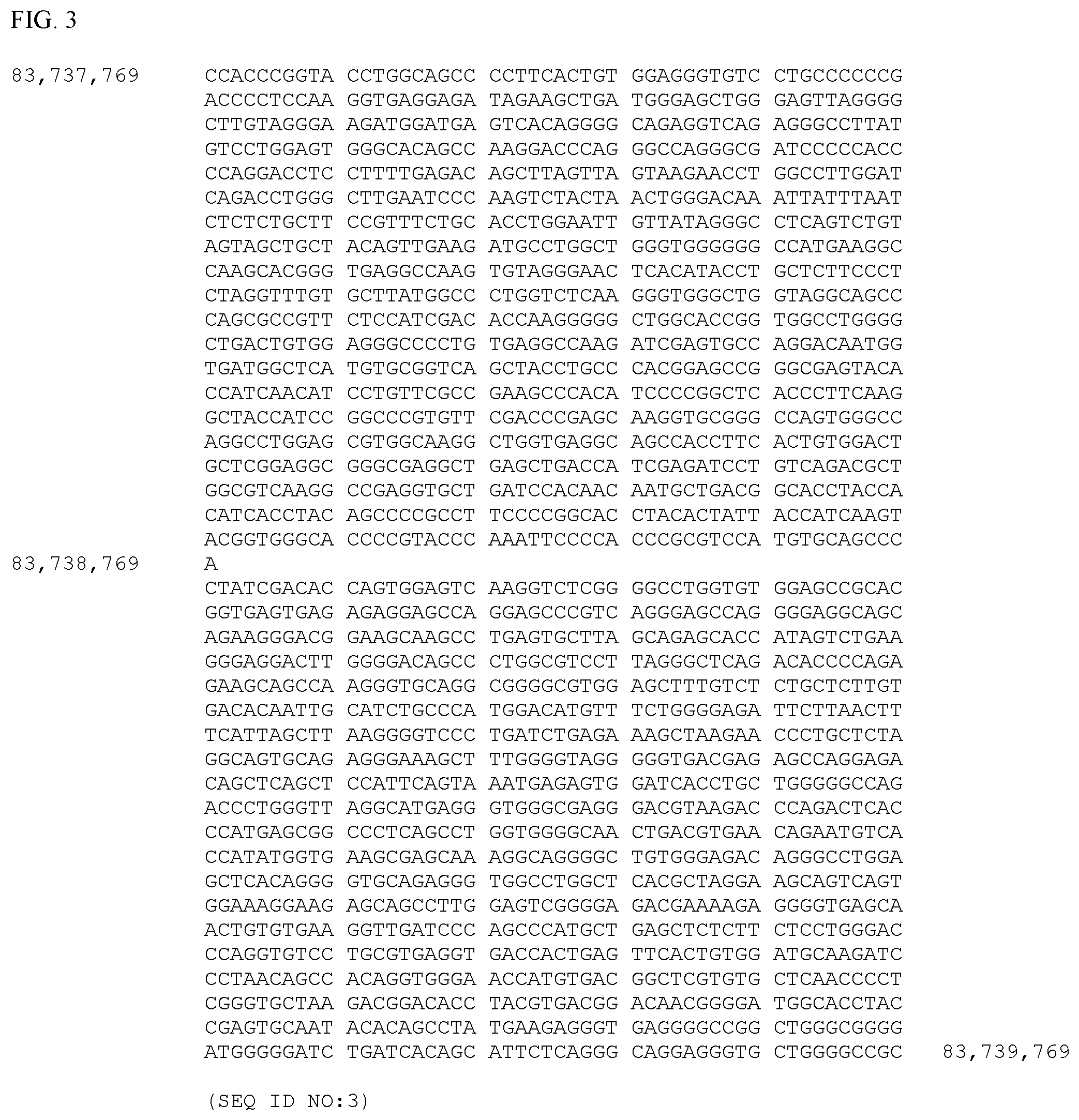 Patent US12497659 Figure 3 – Method of detecting inherited equine myopathy