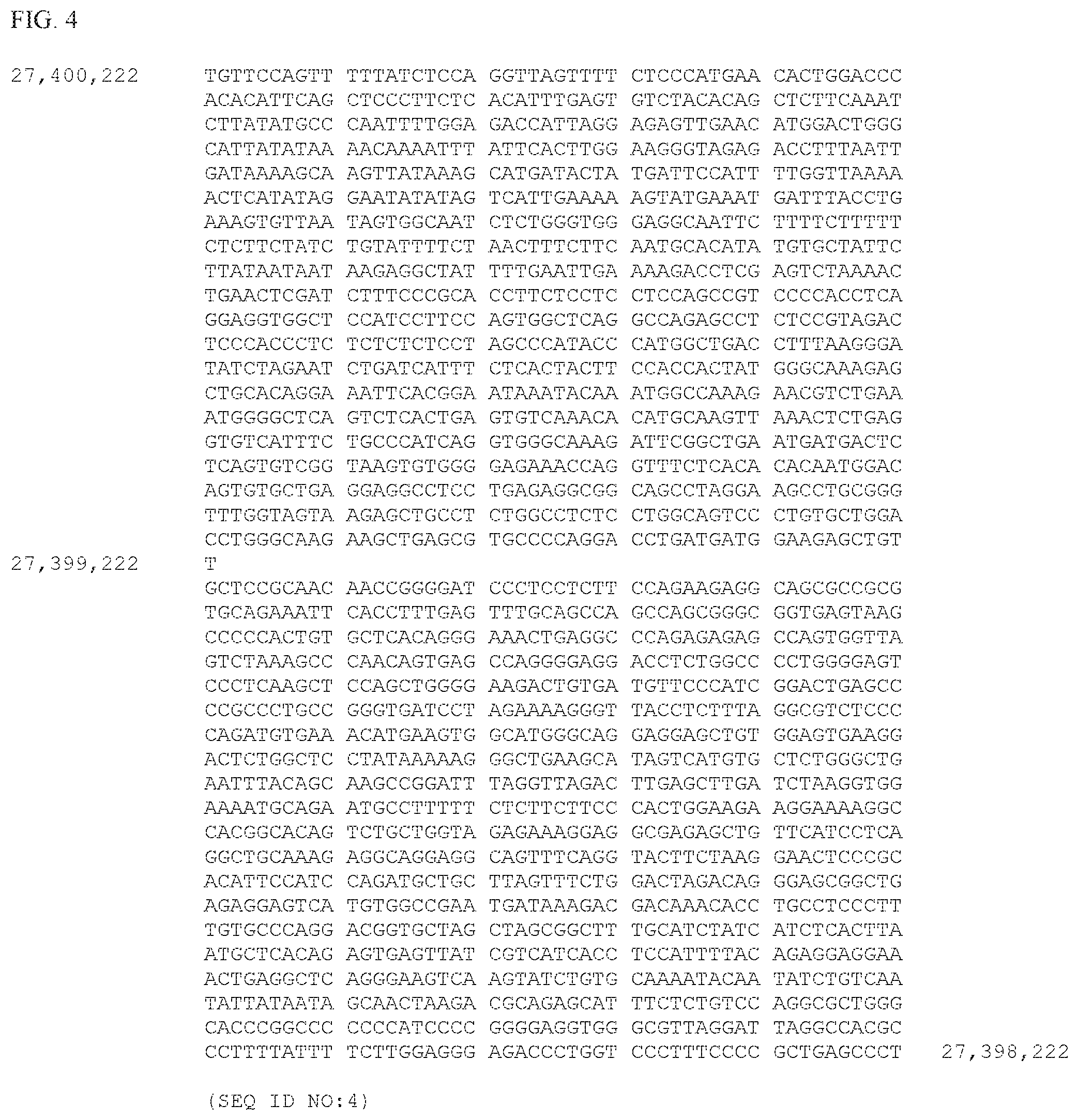 Patent US12497659 Figure 4 – Method of detecting inherited equine myopathy