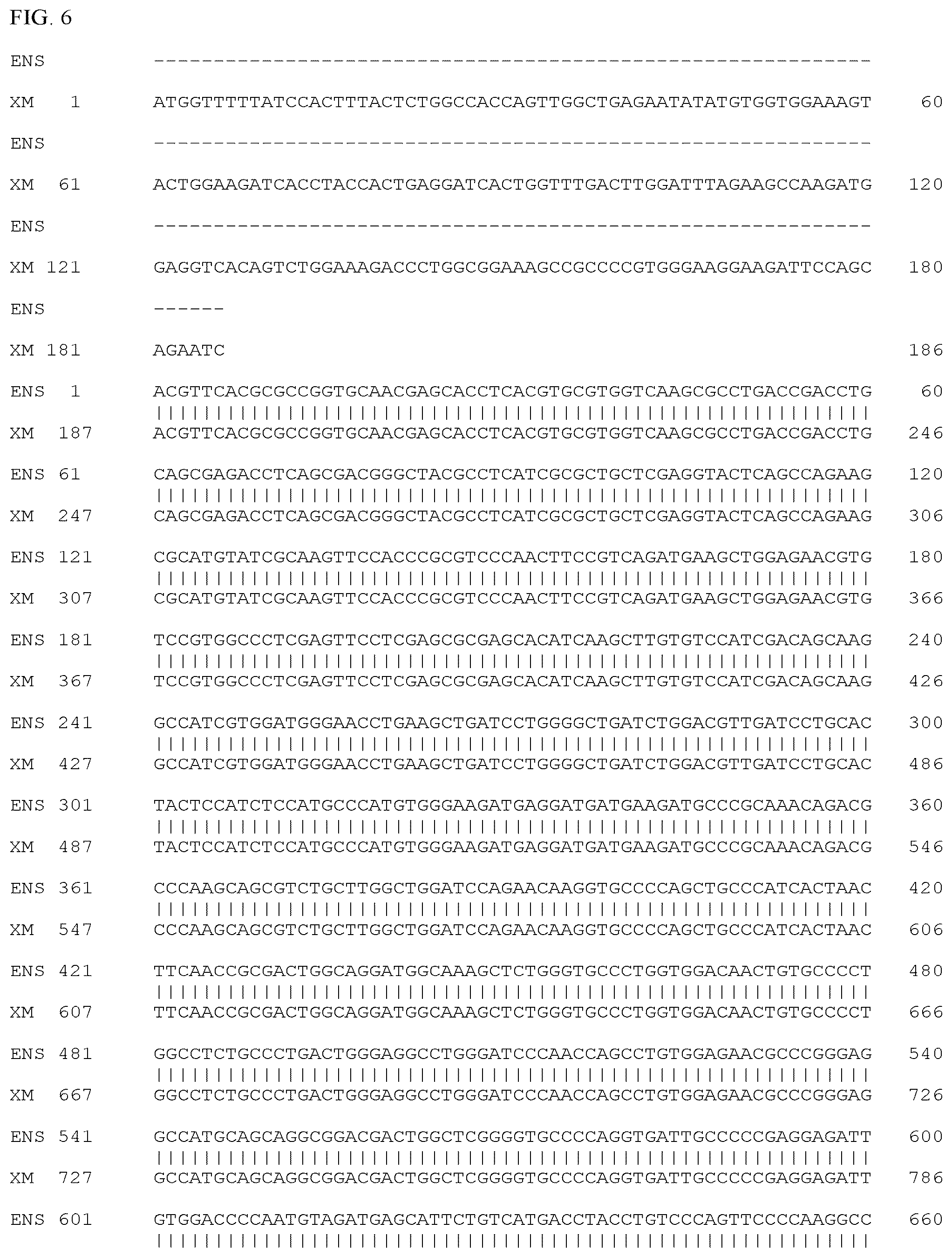 Patent US12497659 Figure 6 – Method of detecting inherited equine myopathy
