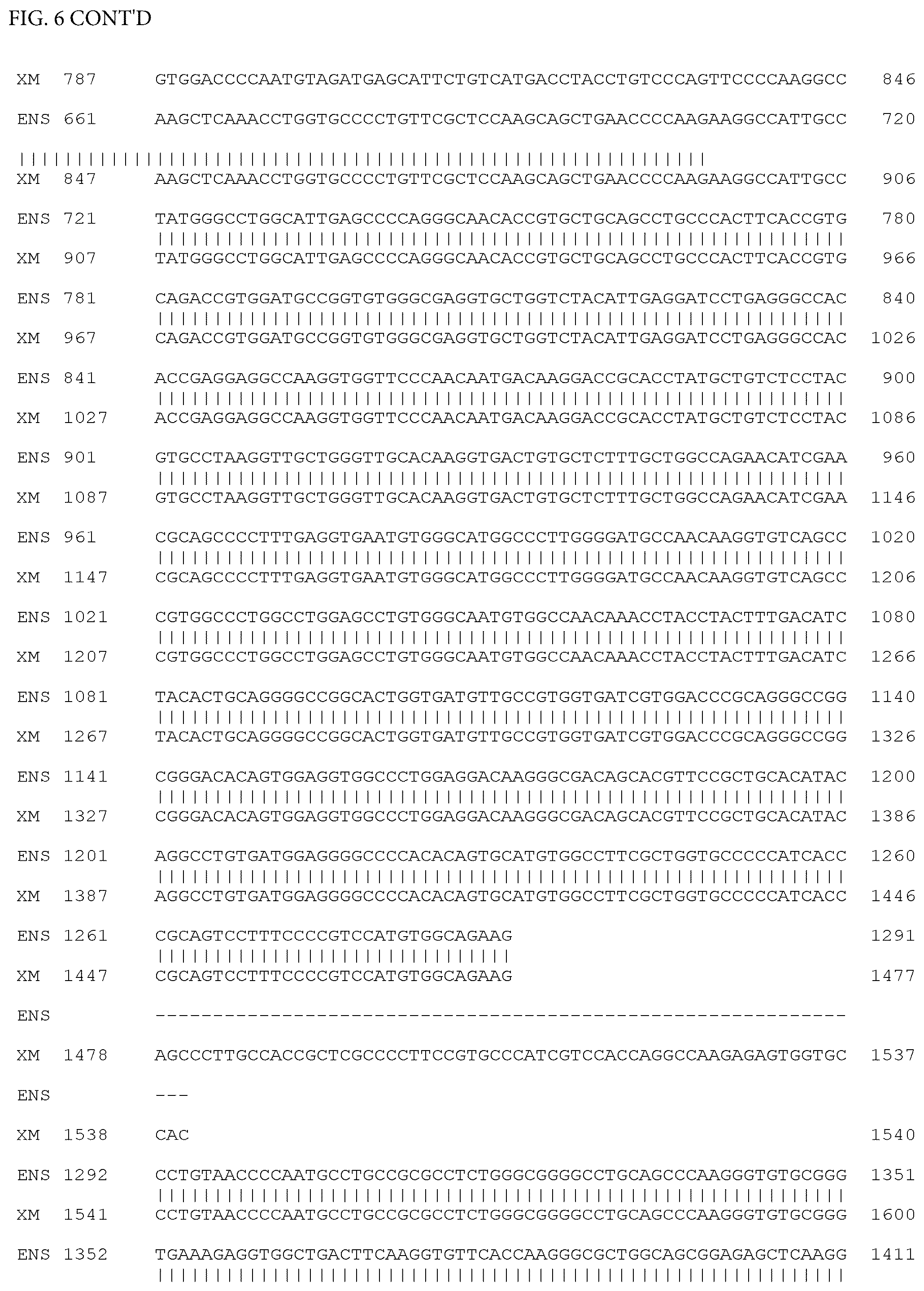 Patent US12497659 Figure 7 – Method of detecting inherited equine myopathy