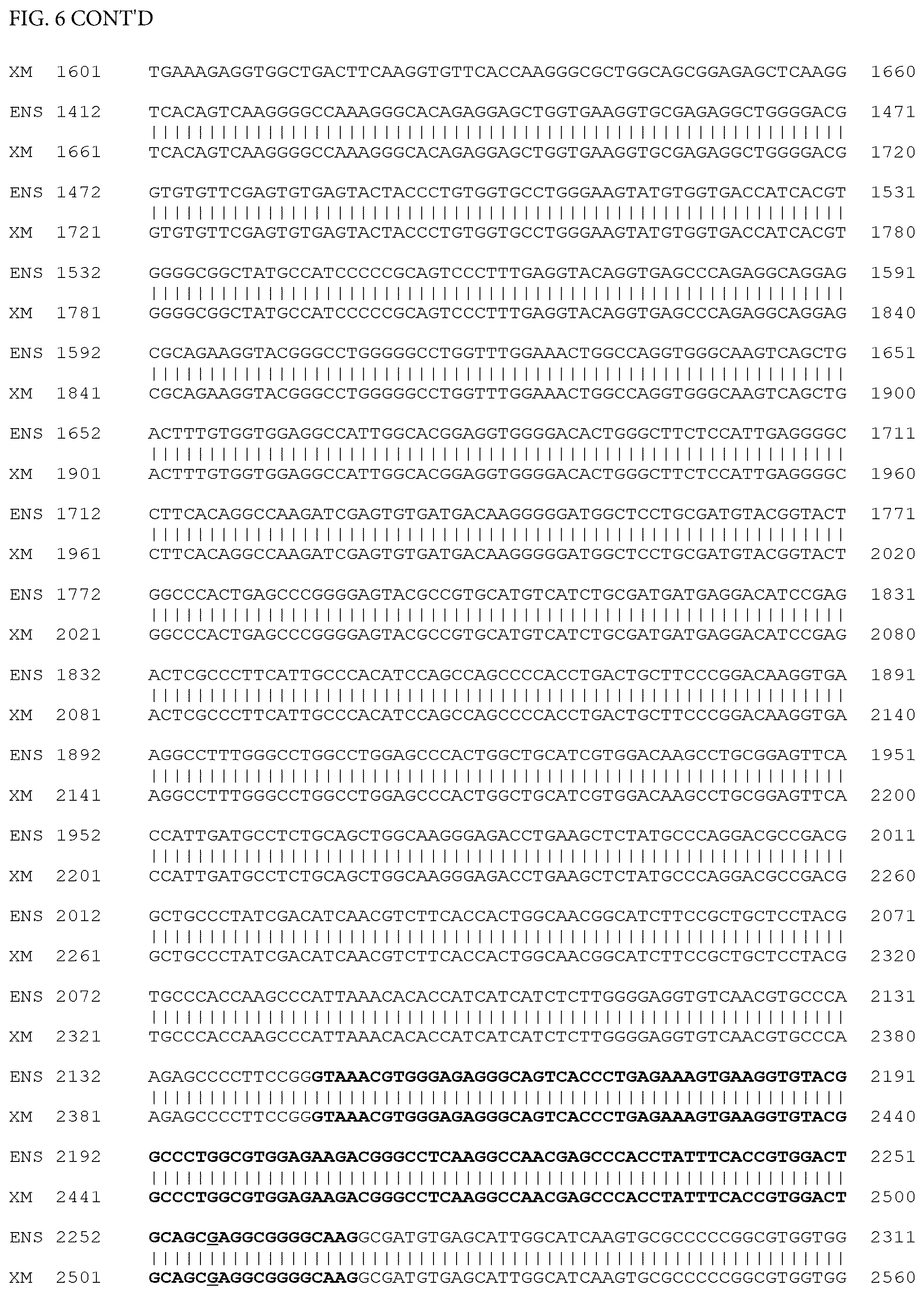 Patent US12497659 Figure 8 – Method of detecting inherited equine myopathy