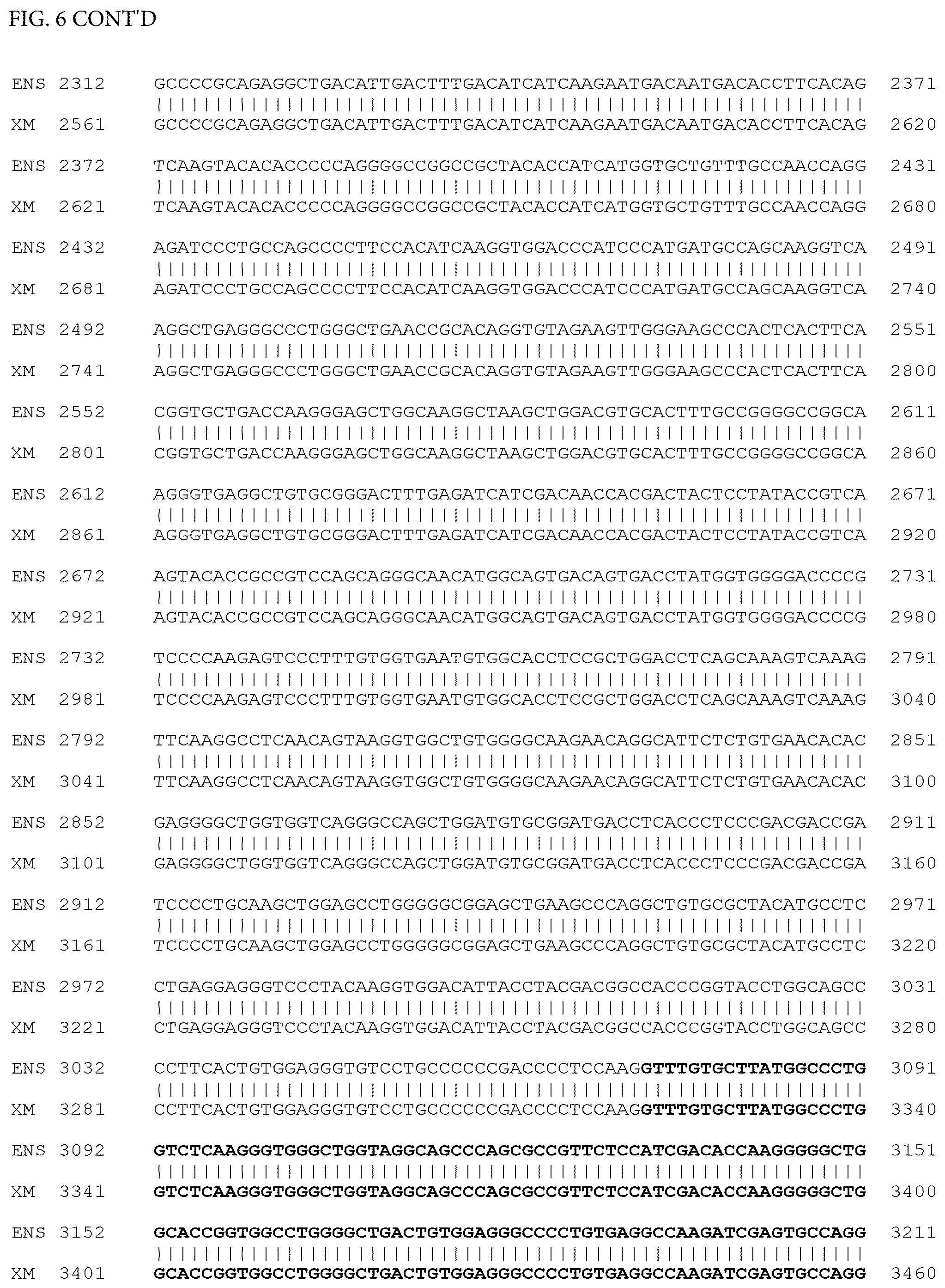 Patent US12497659 Figure 9 – Method of detecting inherited equine myopathy