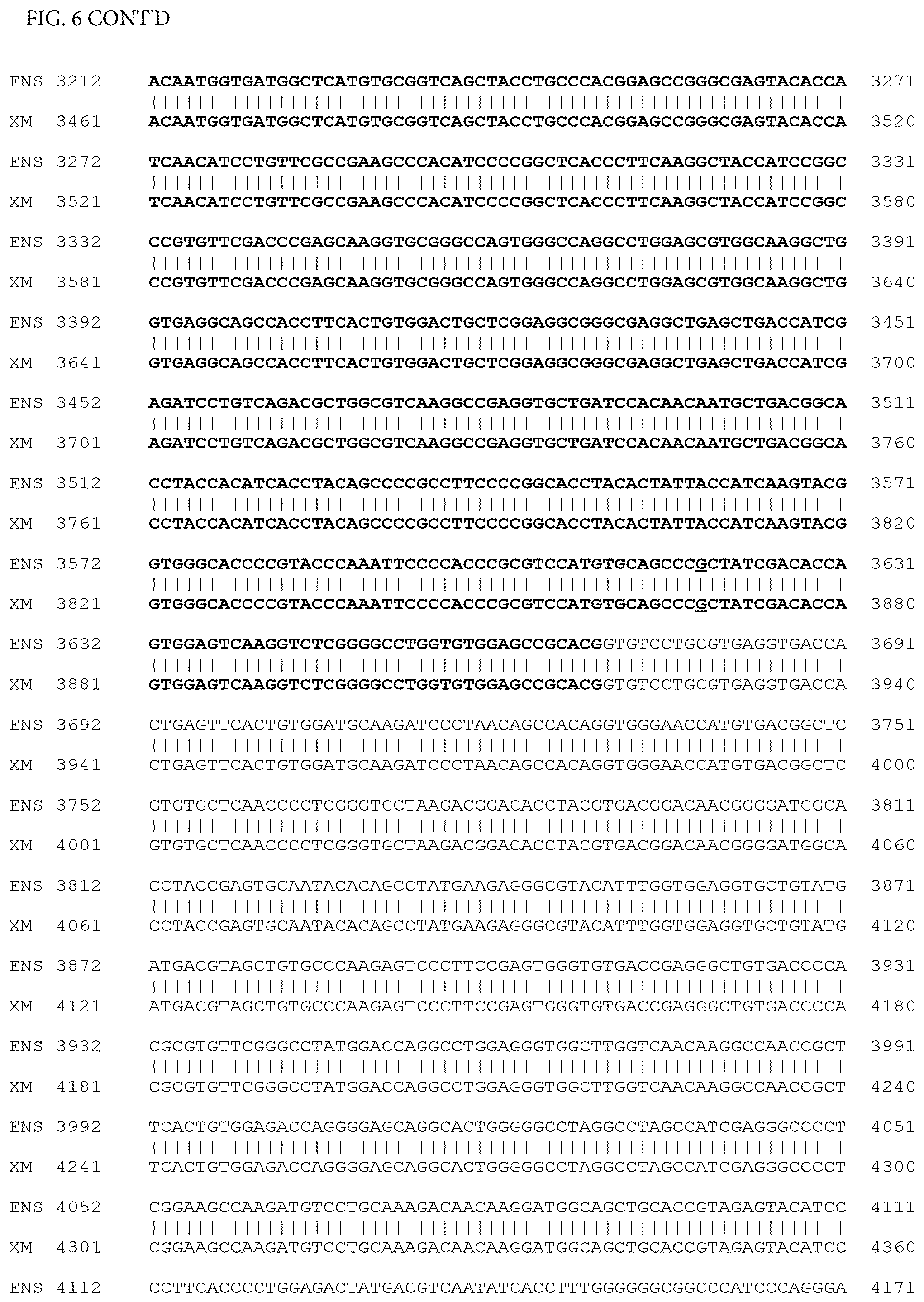 Patent US12497659 Figure 10 – Method of detecting inherited equine myopathy