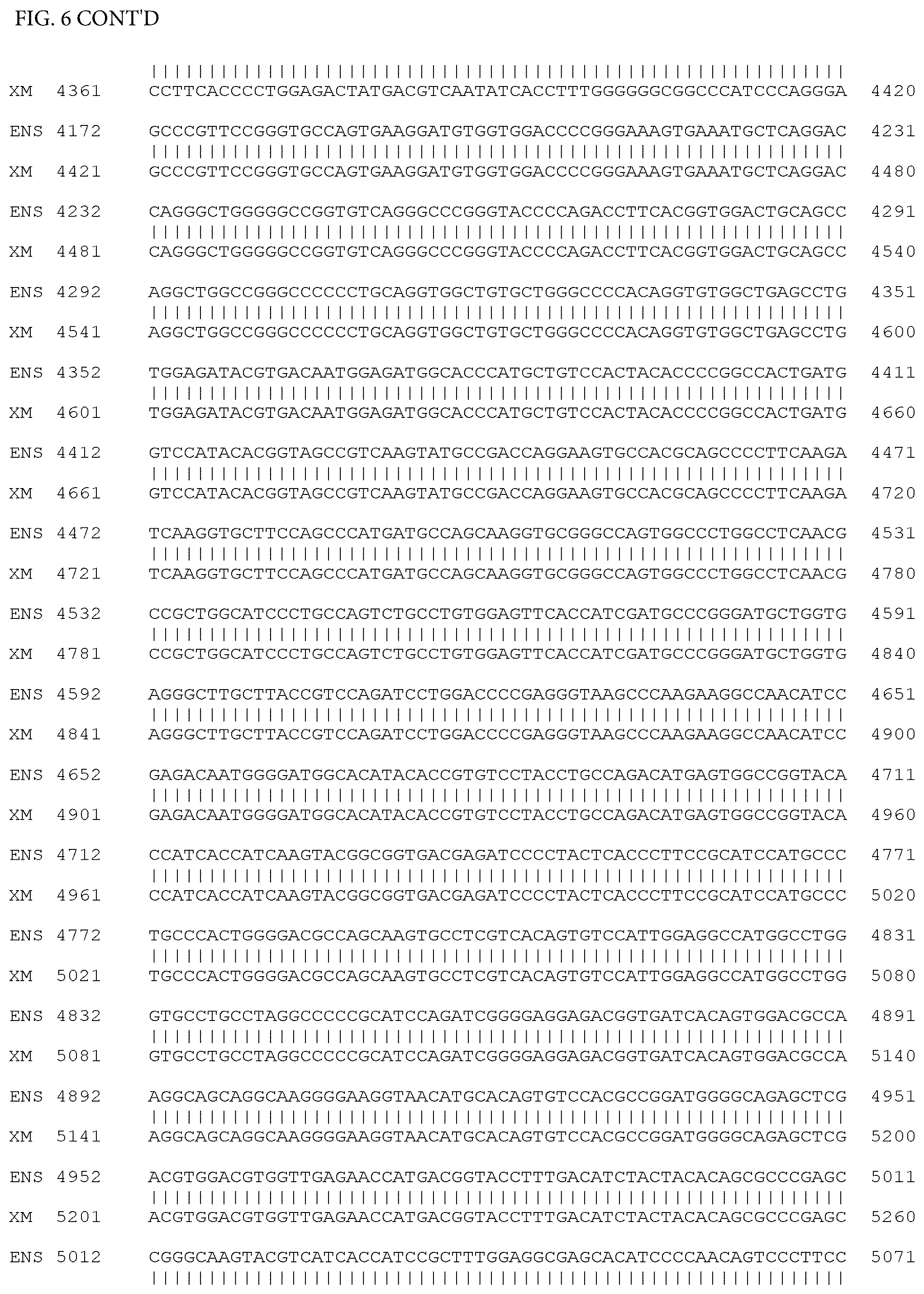 Patent US12497659 Figure 11 – Method of detecting inherited equine myopathy