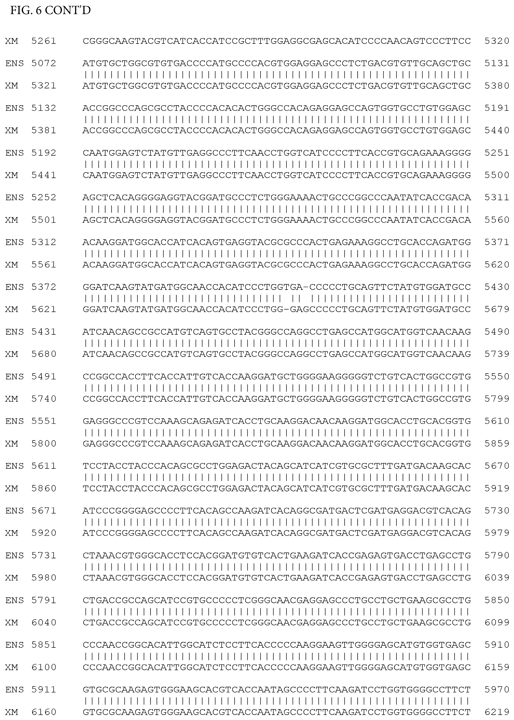 Patent US12497659 Figure 12 – Method of detecting inherited equine myopathy